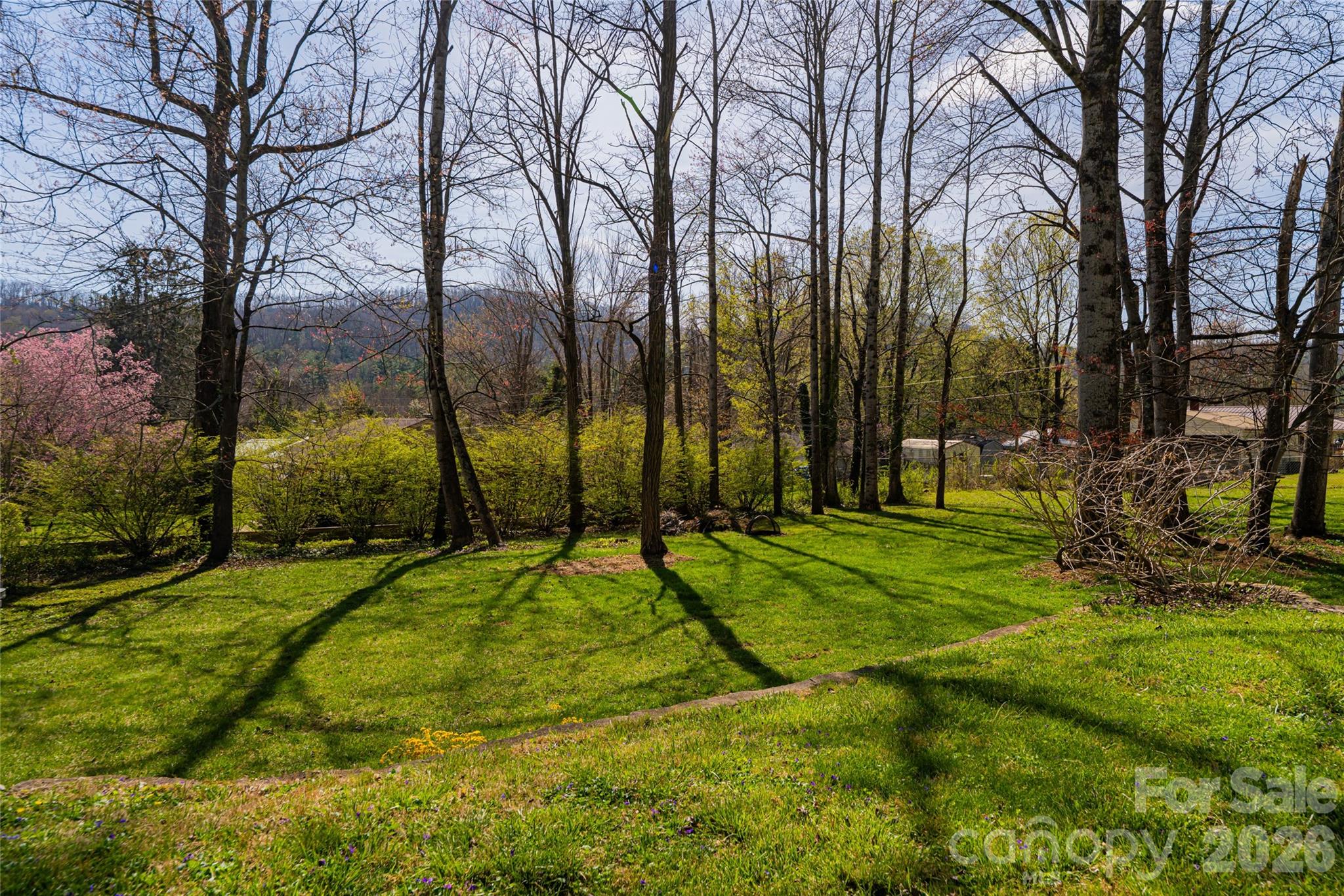 215 Browning Avenue — Hendersonville