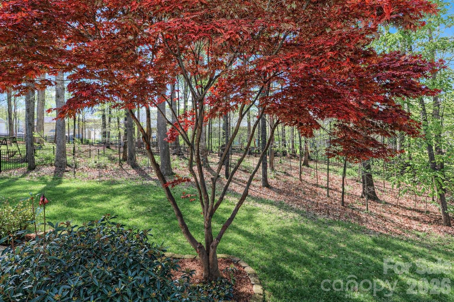158 Forest Walk Way — Mooresville