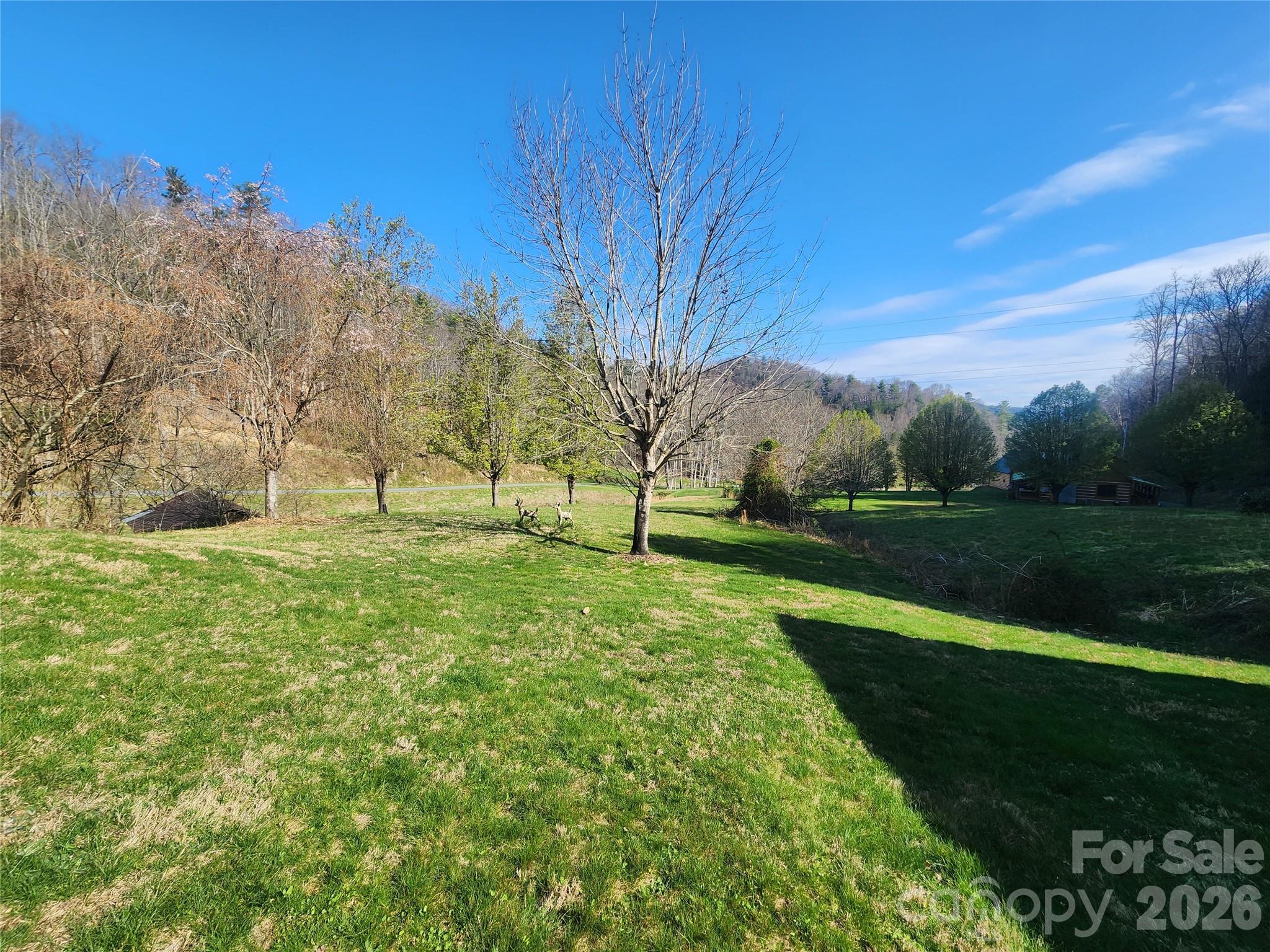 1025 Chandler Cove Road — Marshall
