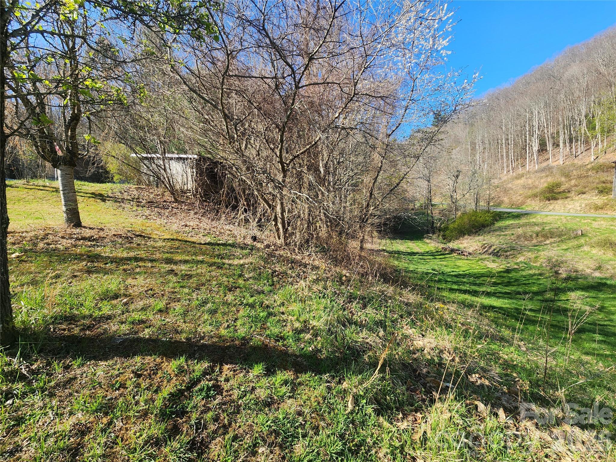 1025 Chandler Cove Road — Marshall