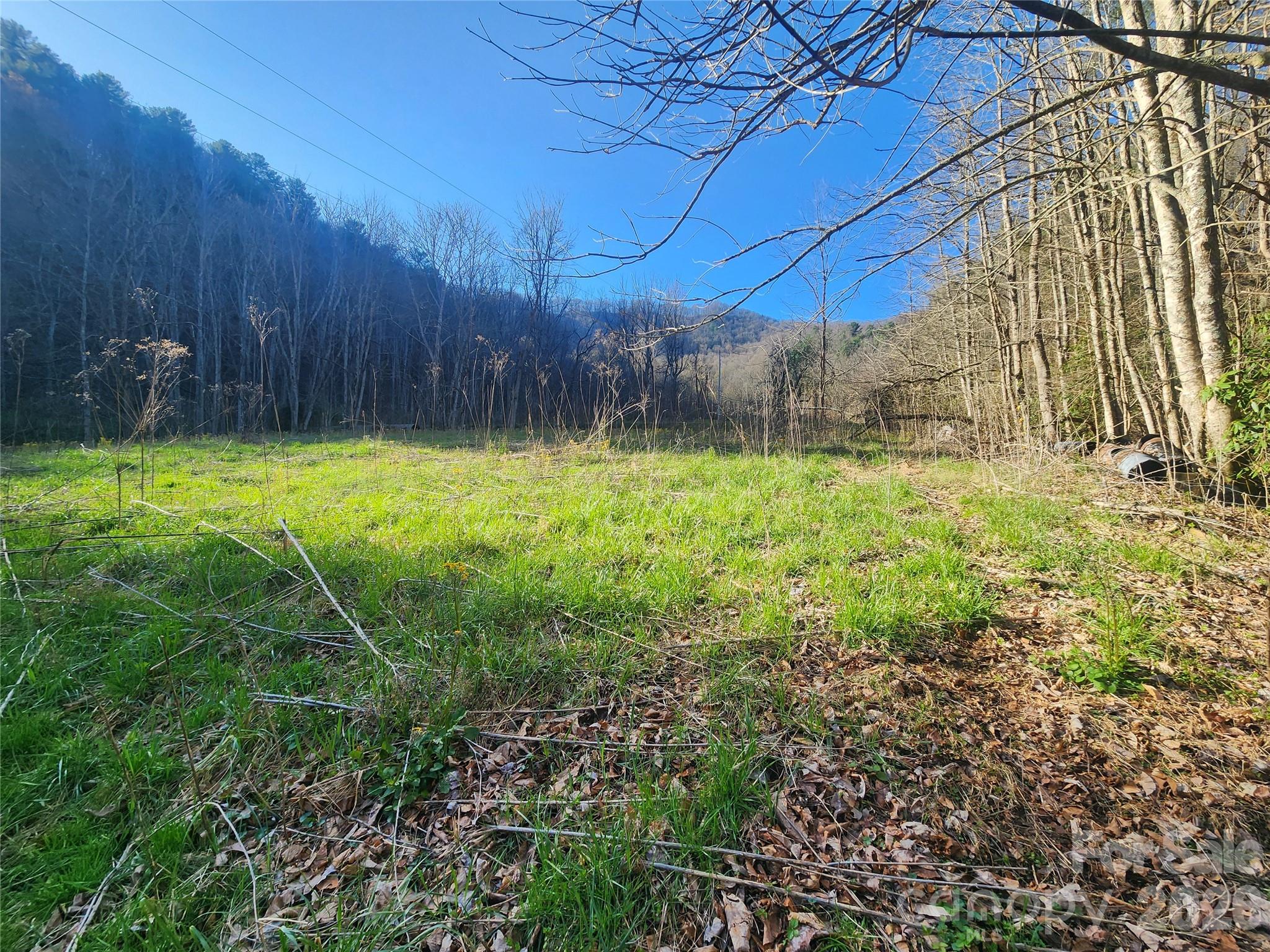 1025 Chandler Cove Road — Marshall