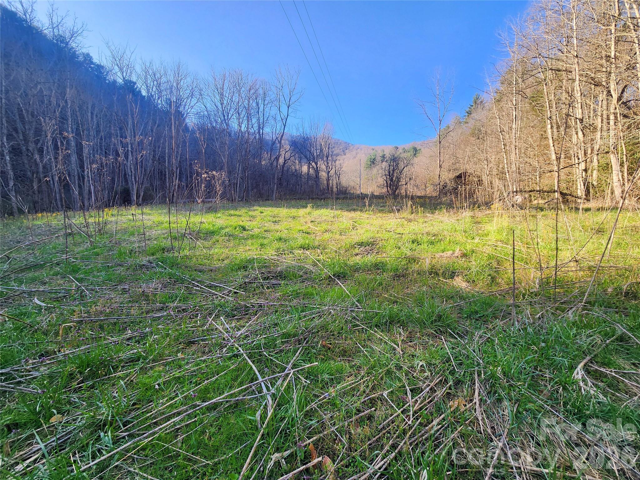 1025 Chandler Cove Road — Marshall
