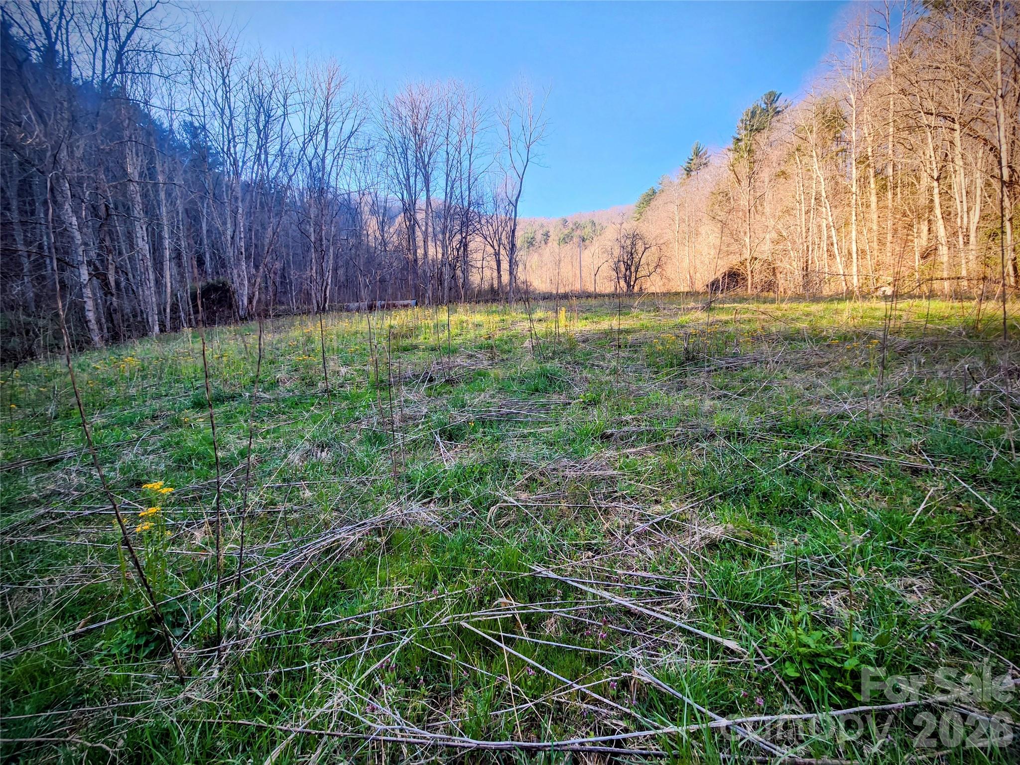 1025 Chandler Cove Road — Marshall