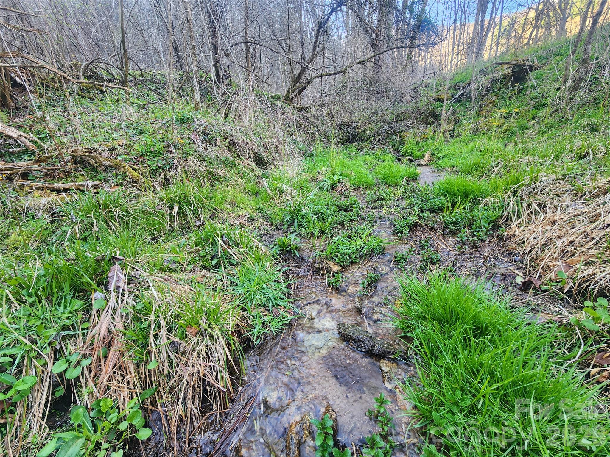 1025 Chandler Cove Road — Marshall