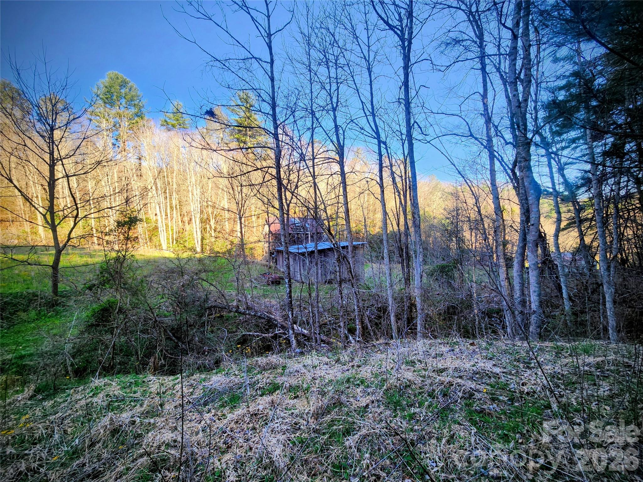 1025 Chandler Cove Road — Marshall