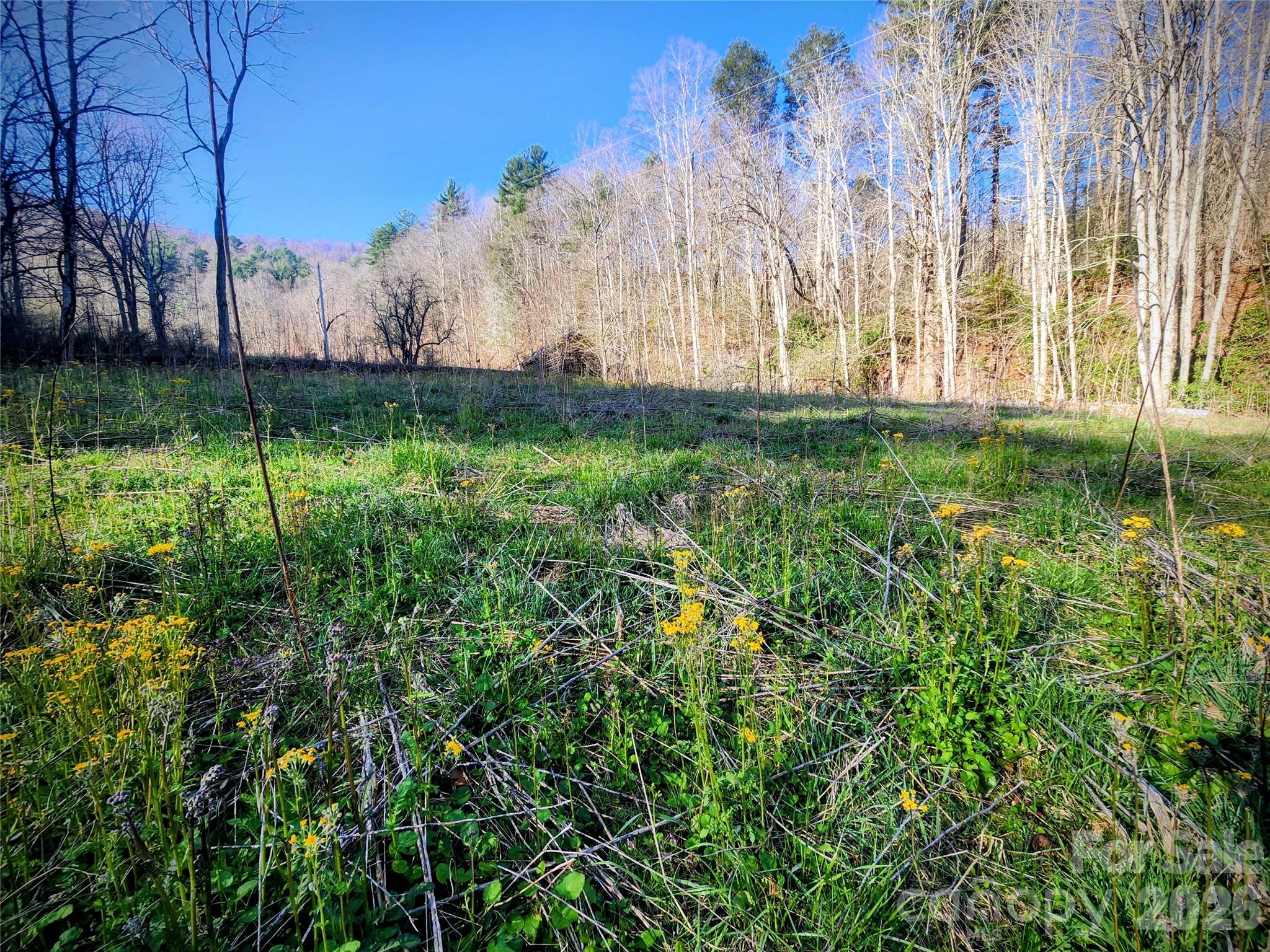 1025 Chandler Cove Road — Marshall