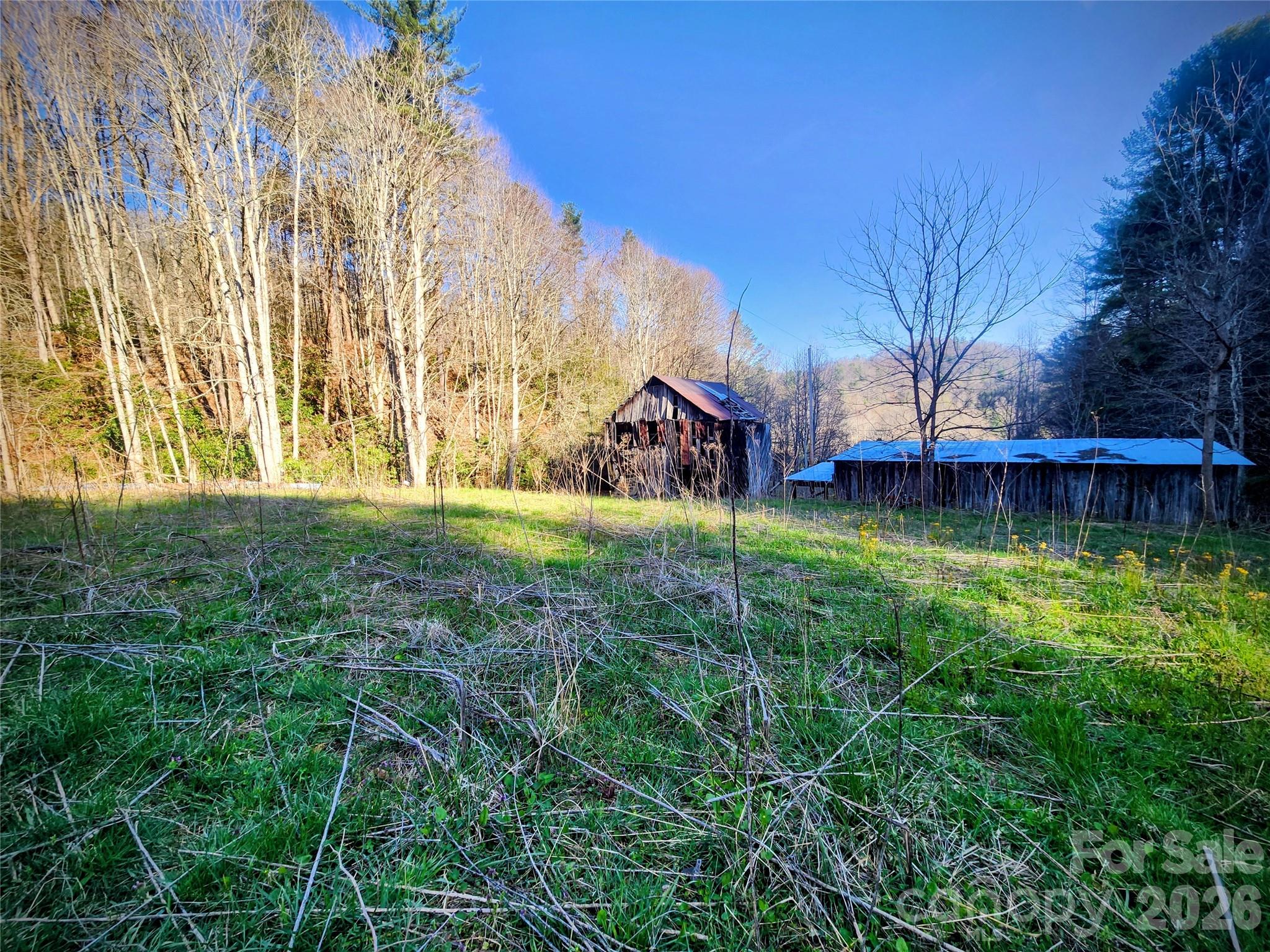 1025 Chandler Cove Road — Marshall