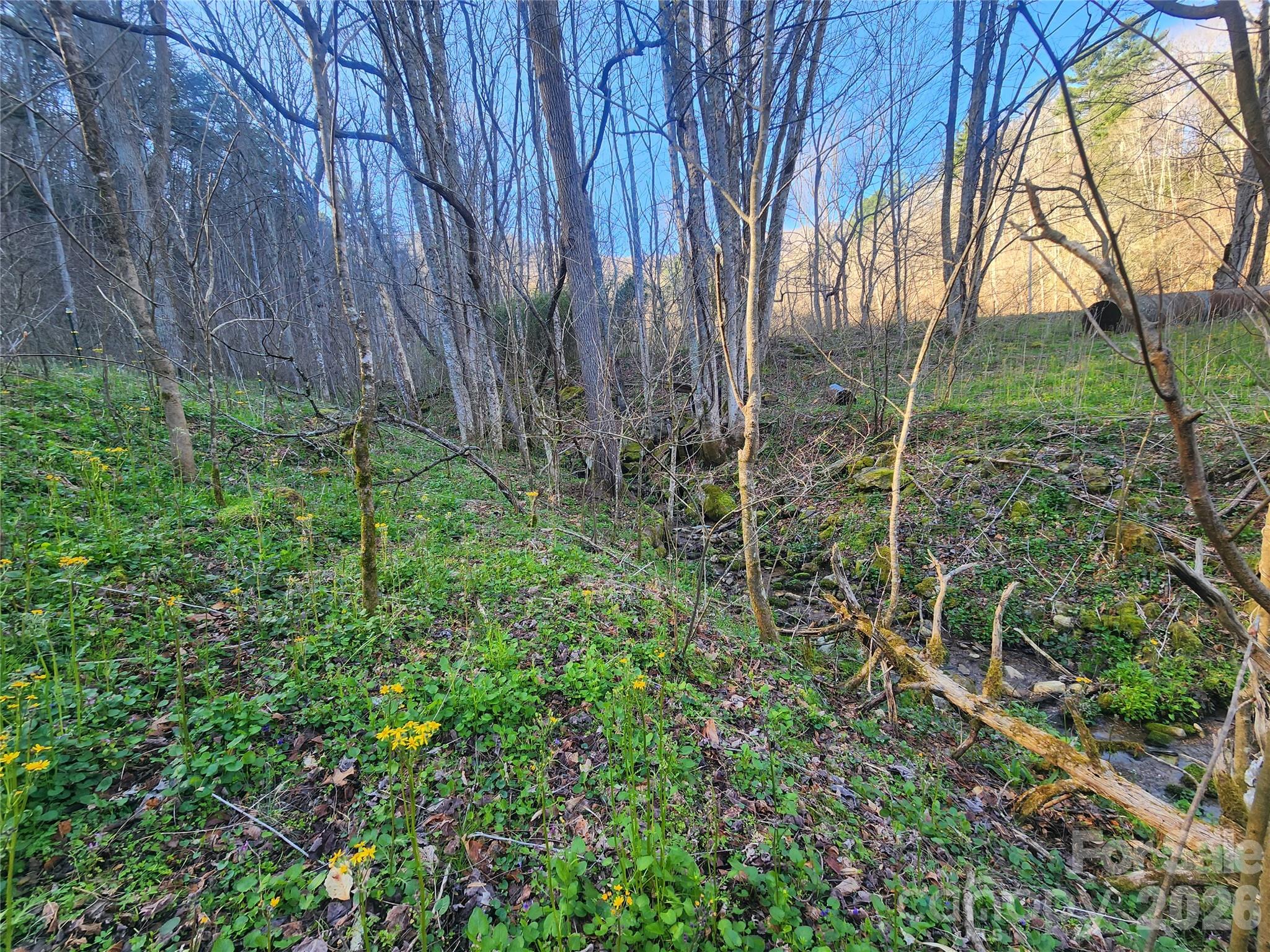 1025 Chandler Cove Road — Marshall