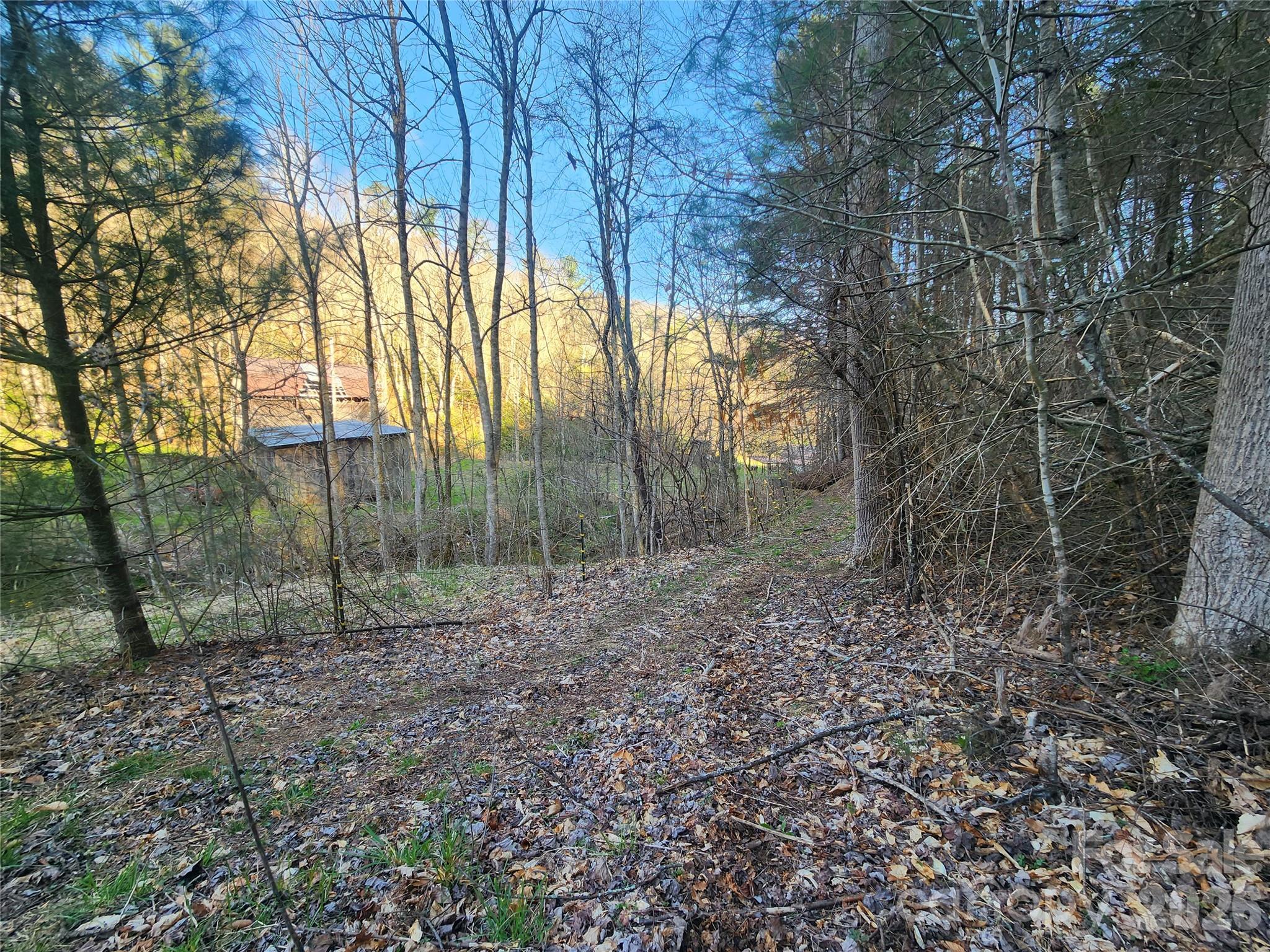 1025 Chandler Cove Road — Marshall