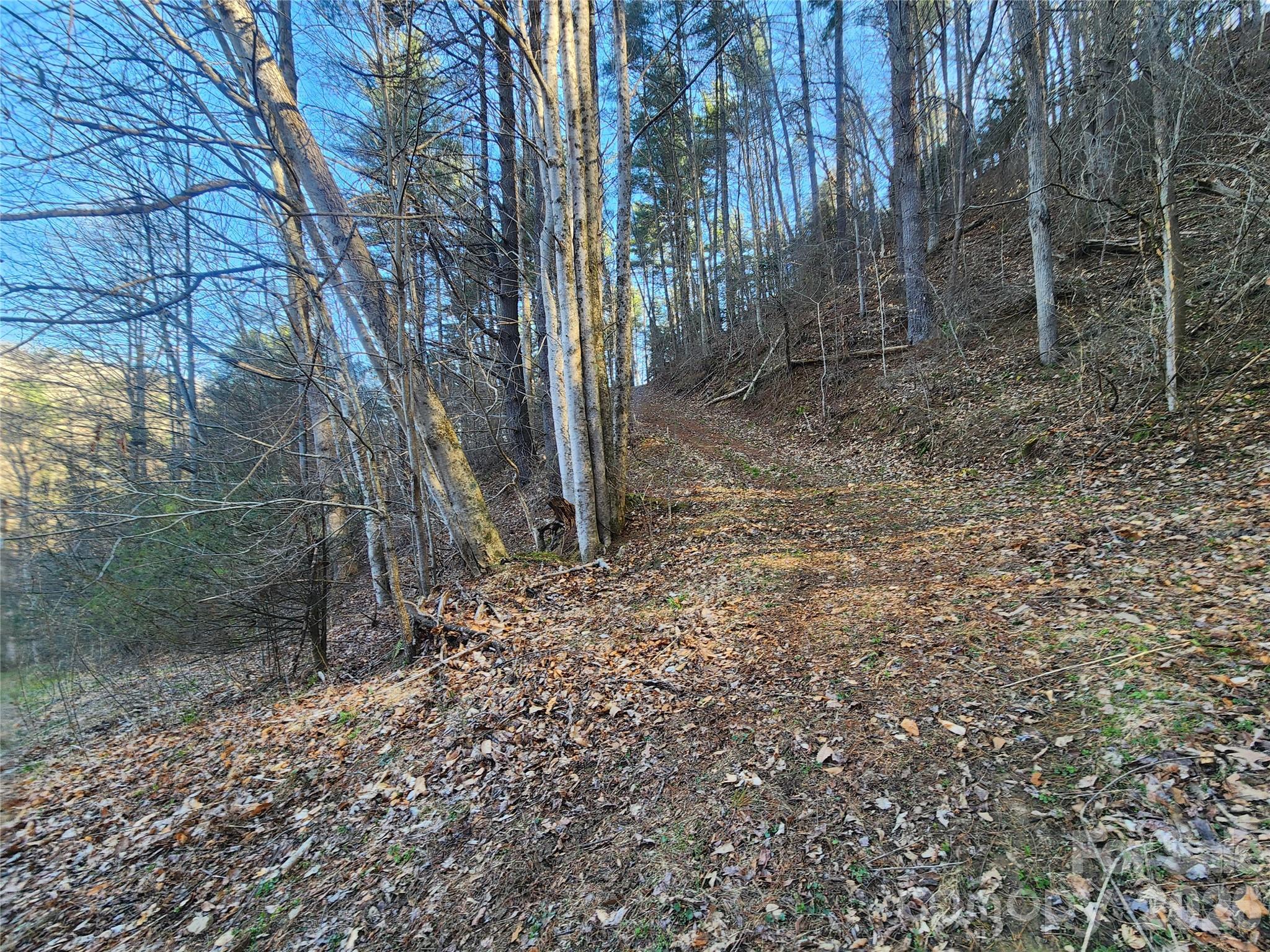 1025 Chandler Cove Road — Marshall