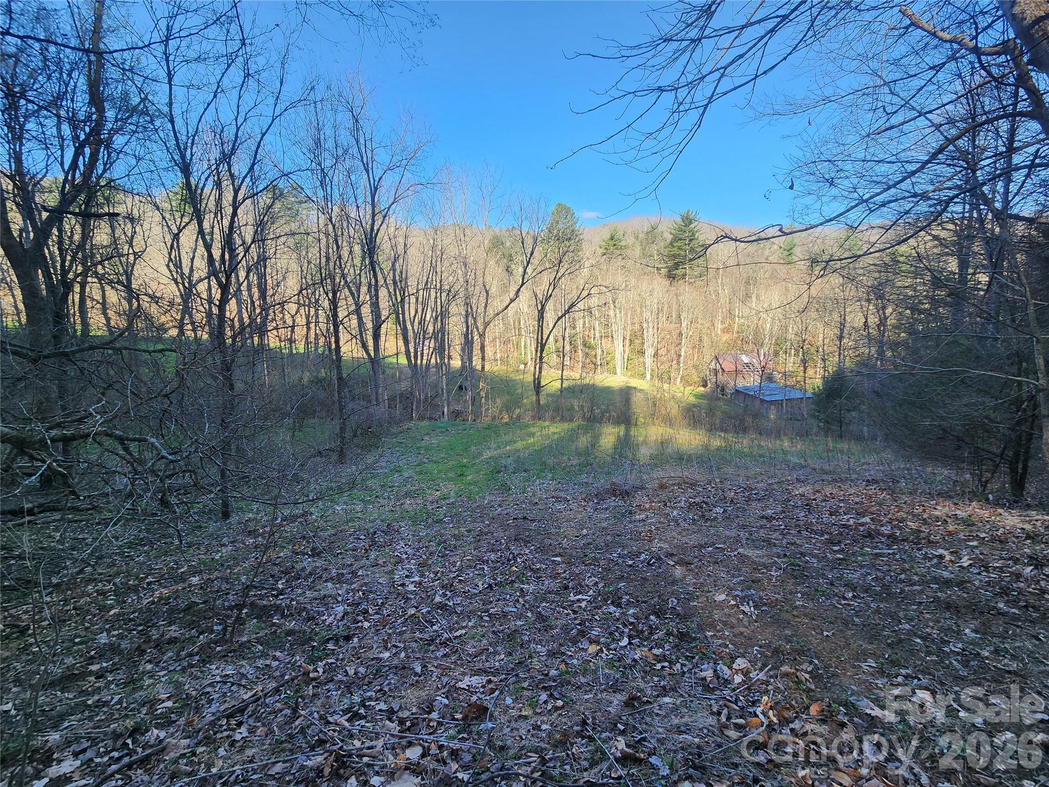 1025 Chandler Cove Road — Marshall