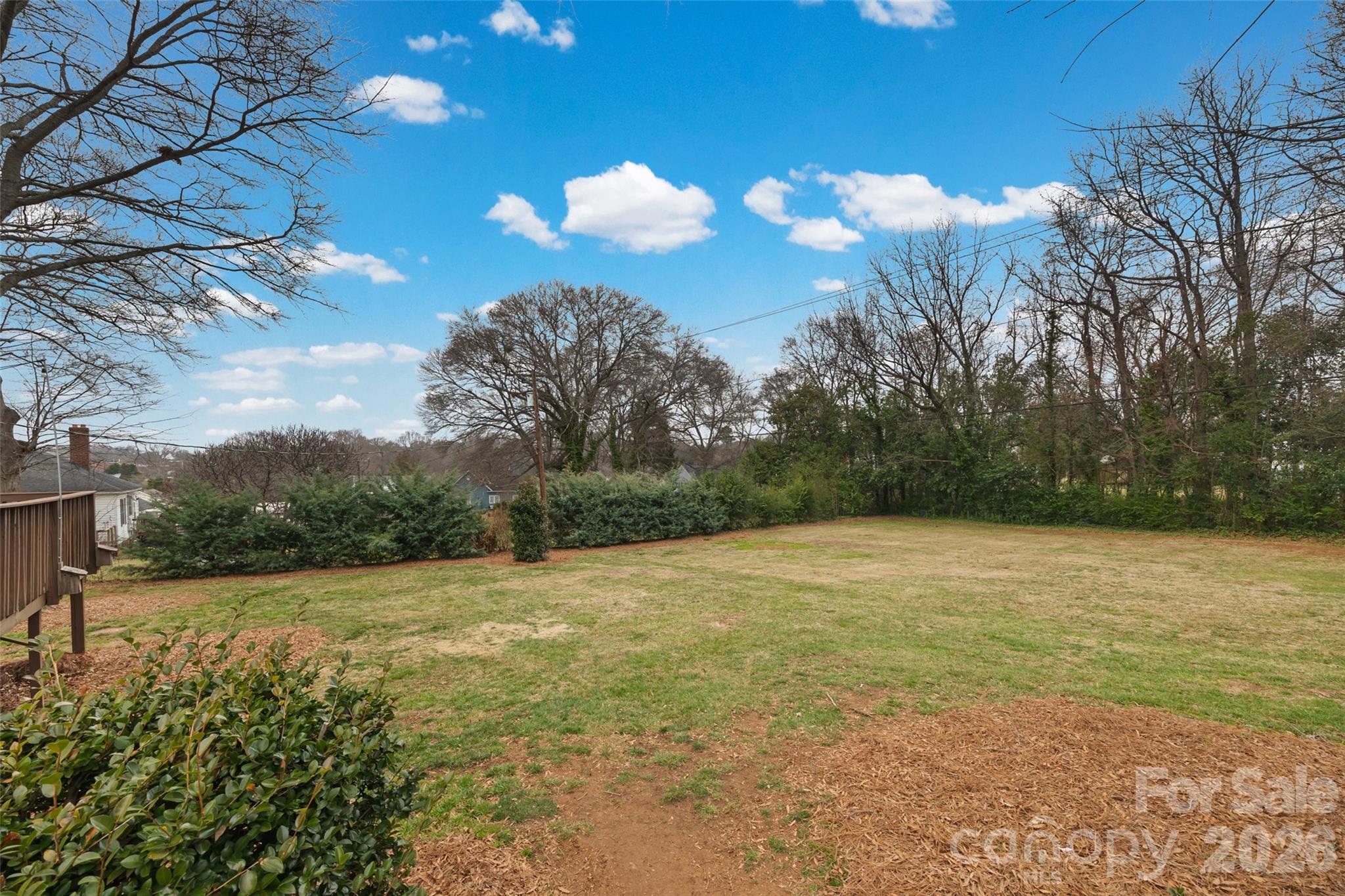 411 Williamson Street — Fort Mill