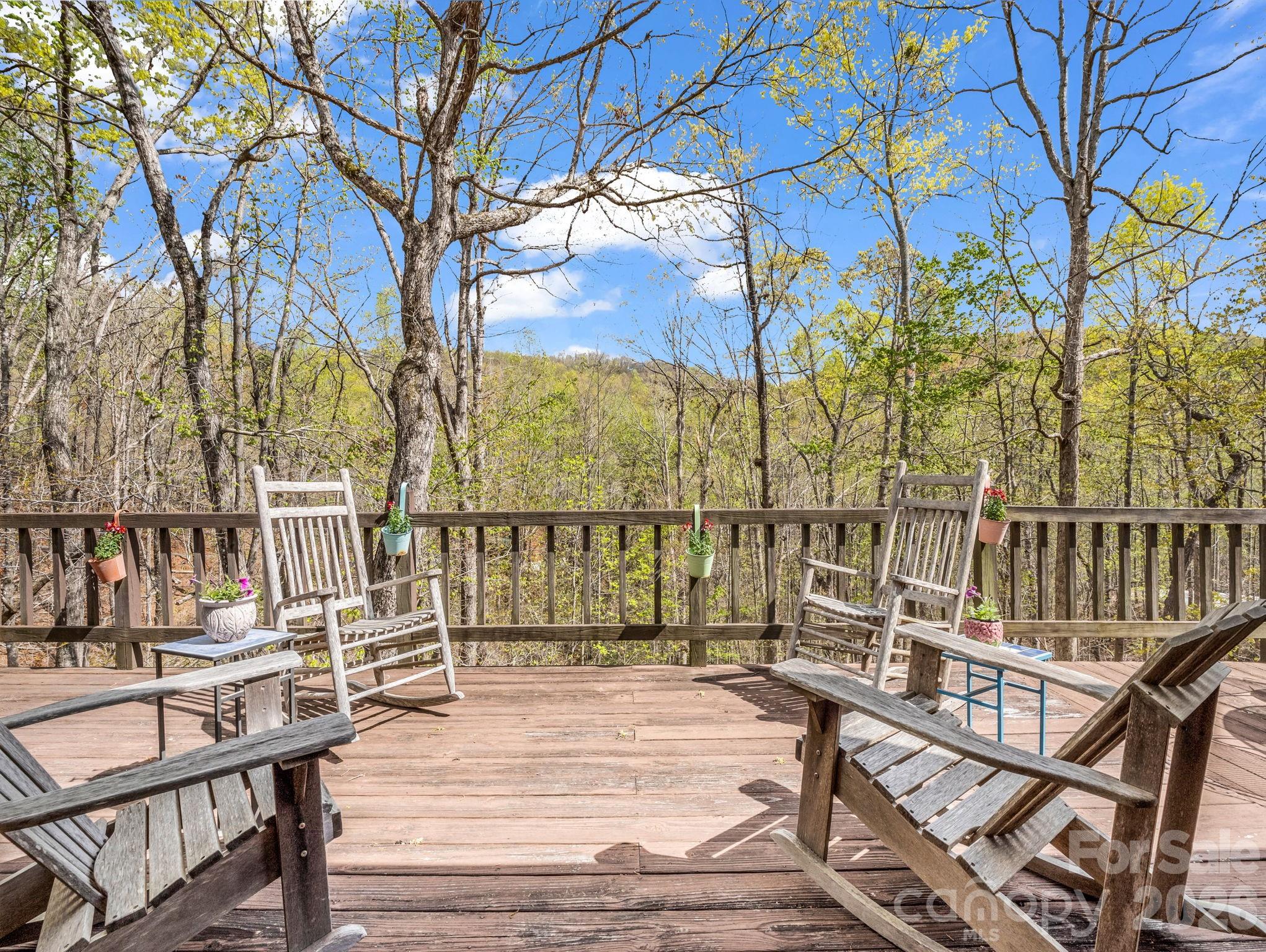 780 Rixhaven Drive — Saluda