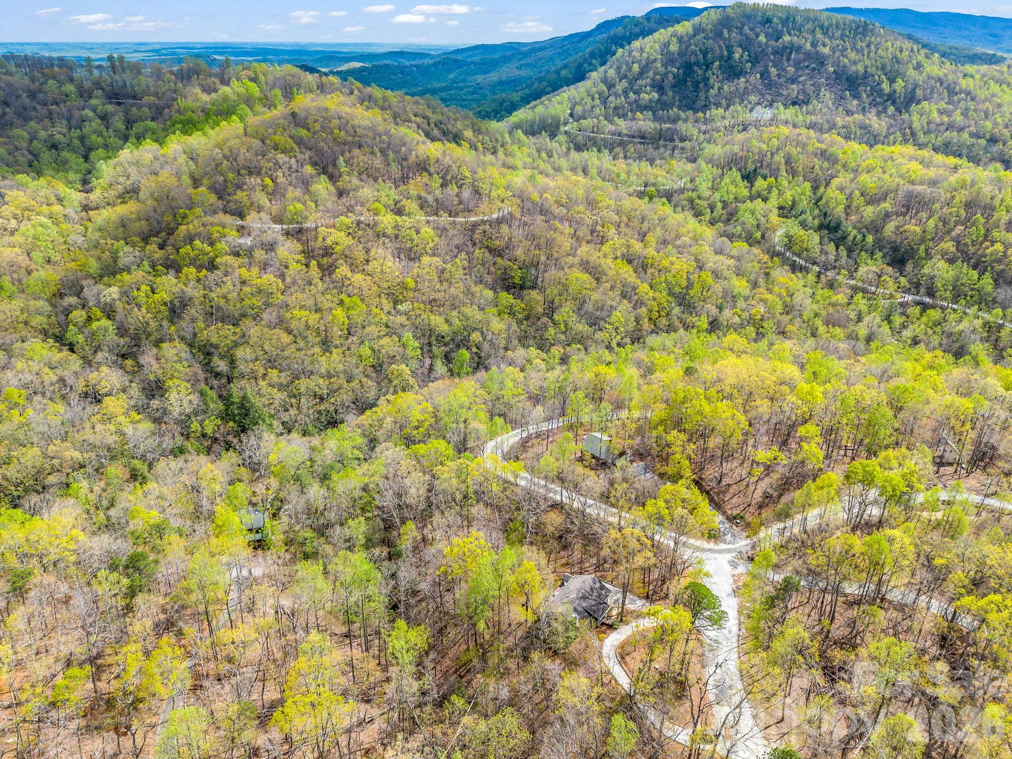 780 Rixhaven Drive — Saluda