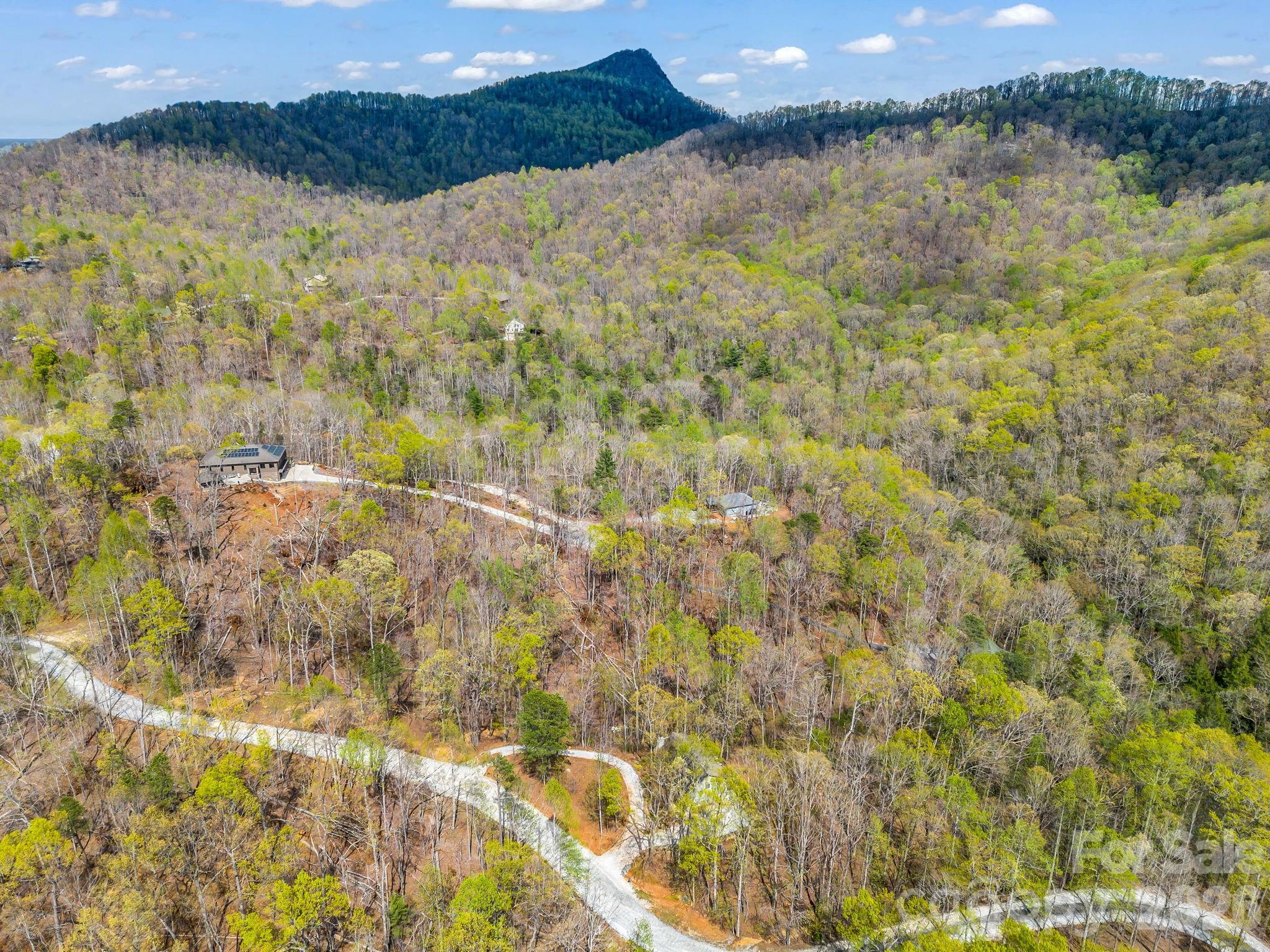 780 Rixhaven Drive — Saluda
