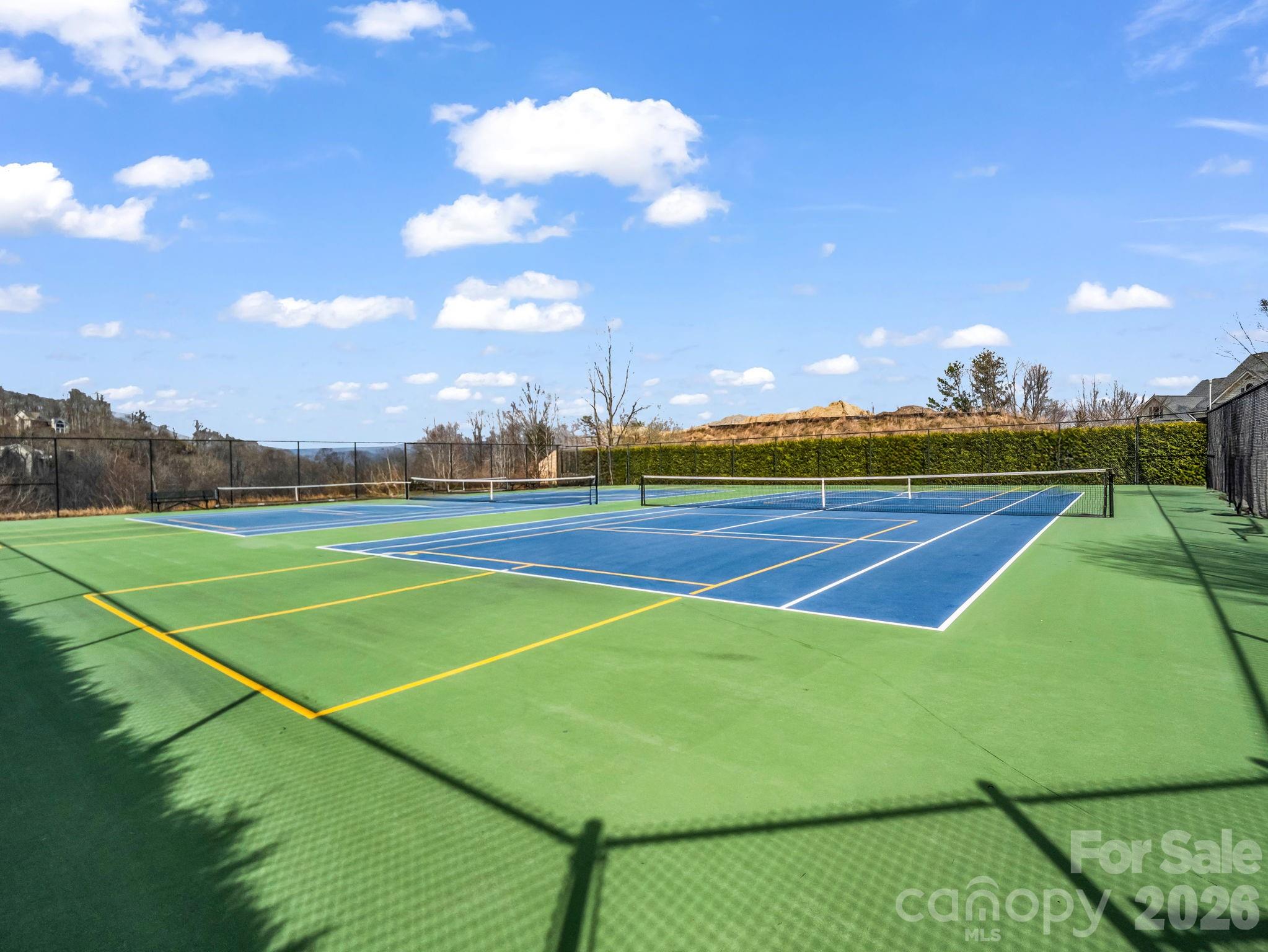 29 Spring Heights Court — Hendersonville