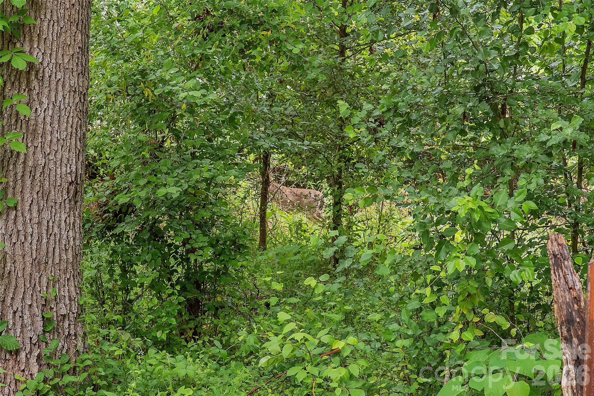 611 Turkey Creek Terrace — Leicester