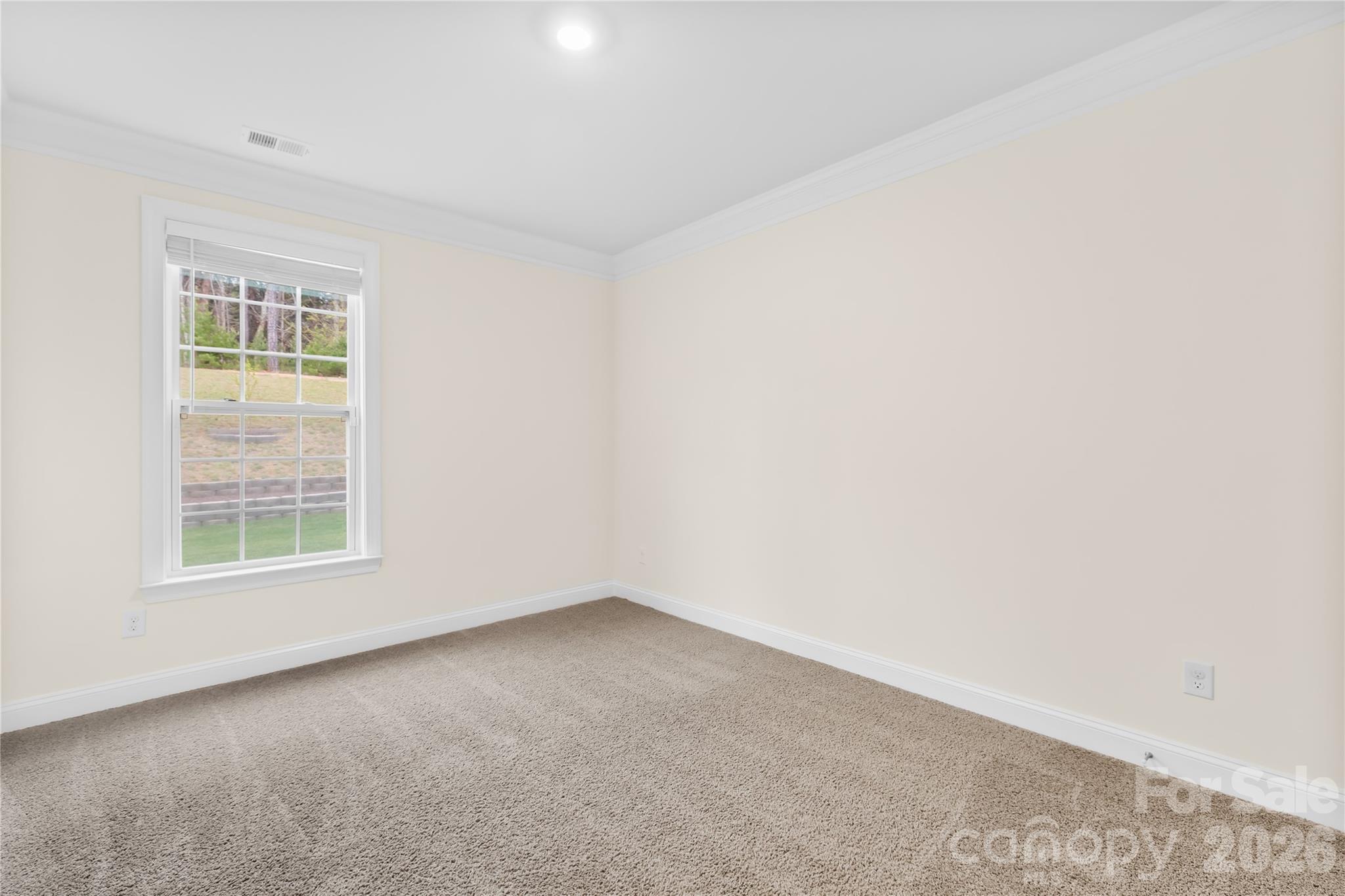 4539 Plicata Drive — Fort Mill
