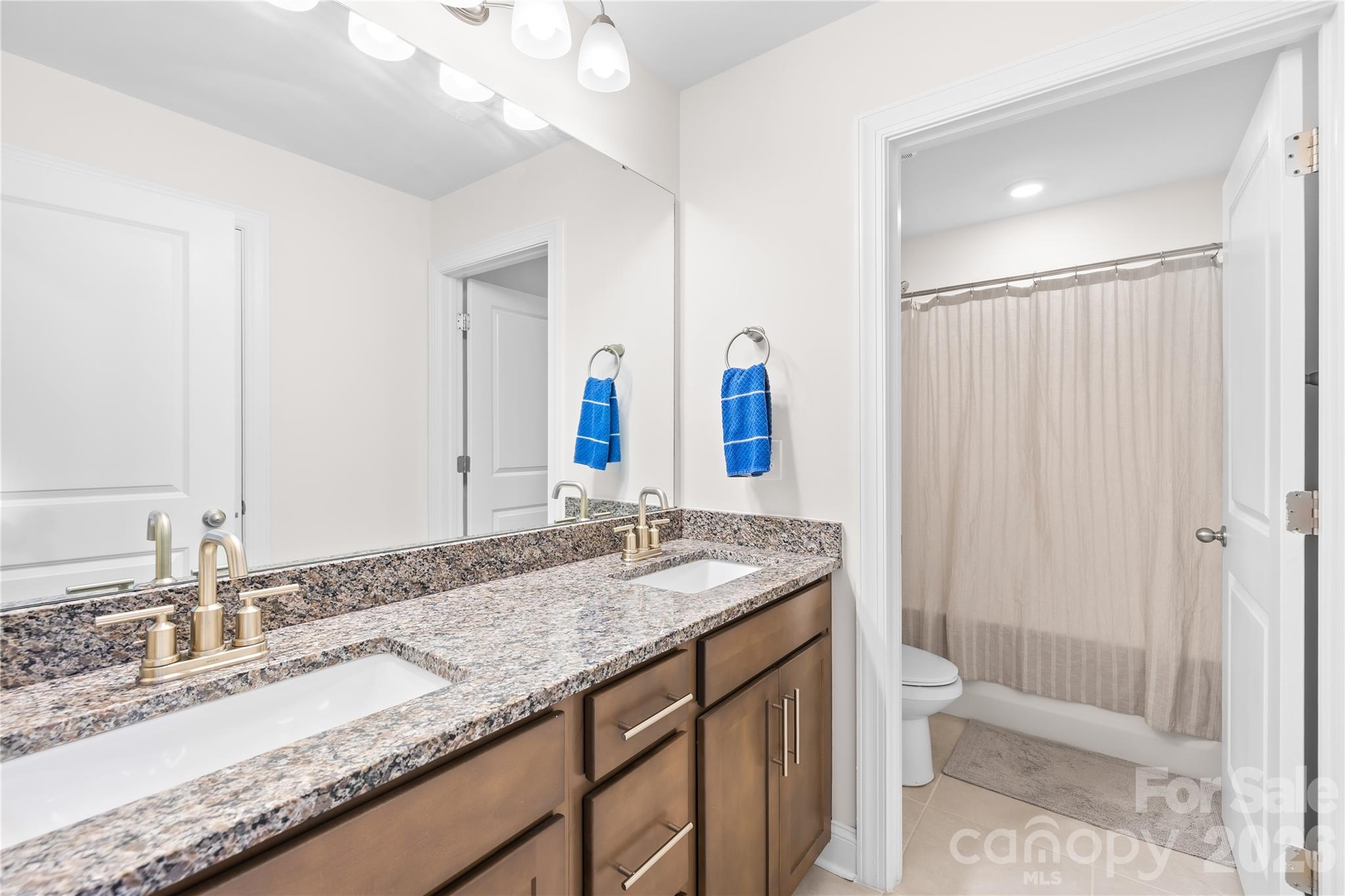 4539 Plicata Drive — Fort Mill