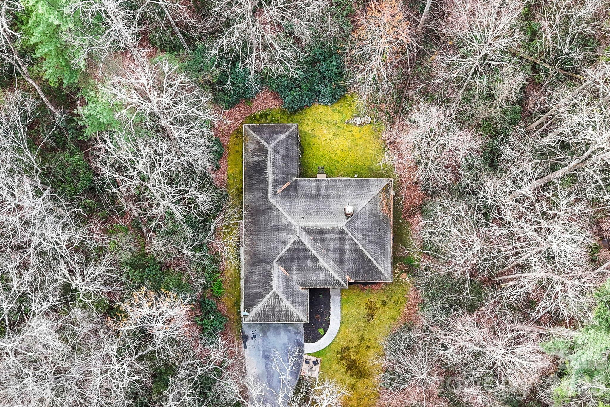 446 Silver Fox Lane — Pisgah Forest