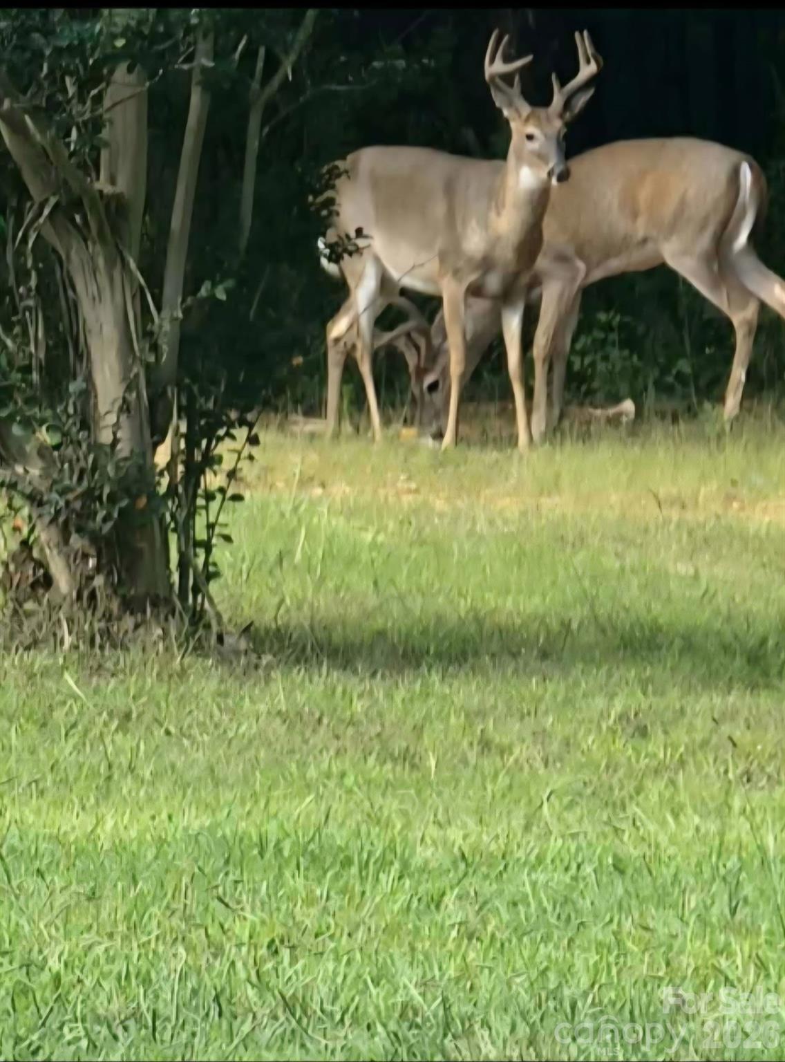 308 Frog Hollow Road — Rutherfordton