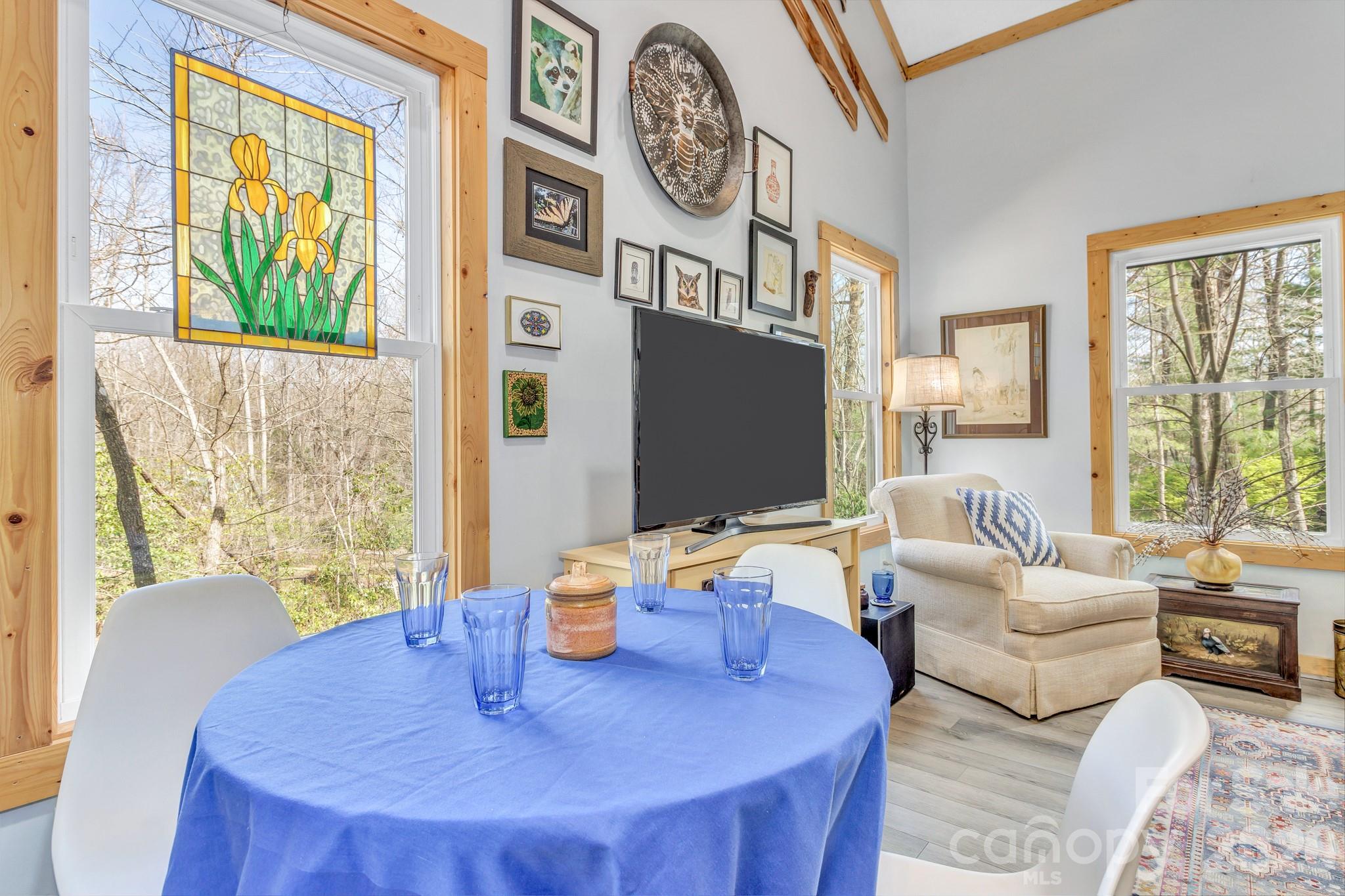 74 S Alta Vista Drive — Saluda