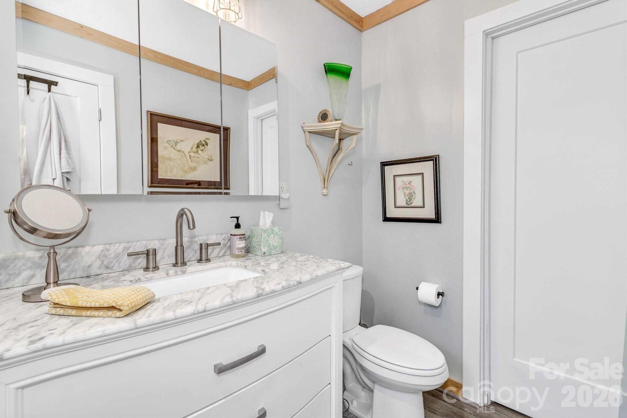74 S Alta Vista Drive — Saluda