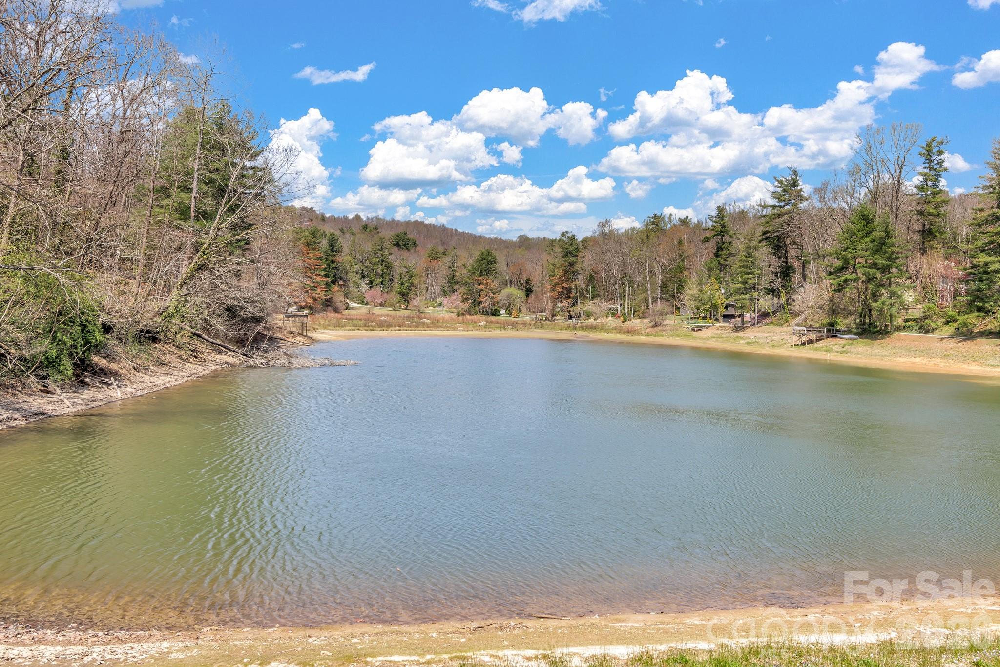 74 S Alta Vista Drive — Saluda