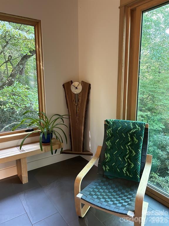 448 Mt. Mitchell Drive — Burnsville