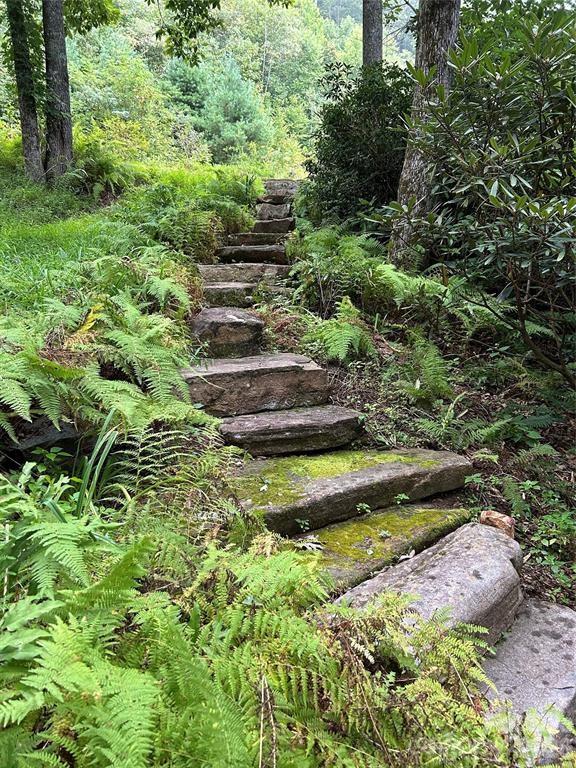448 Mt. Mitchell Drive — Burnsville