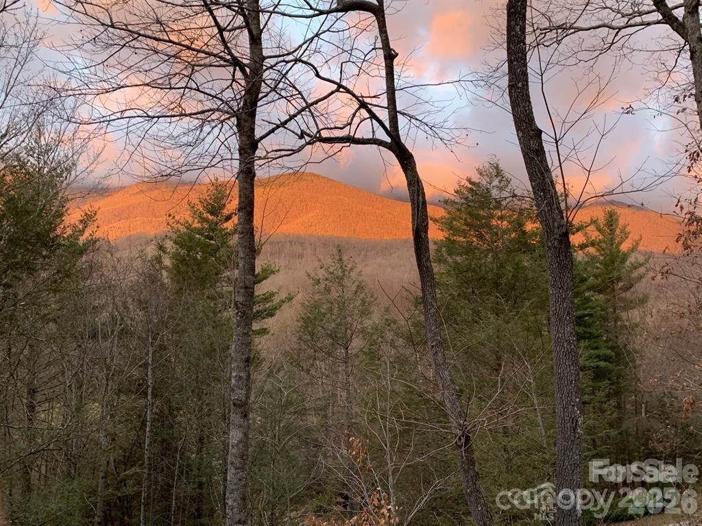 448 Mt. Mitchell Drive — Burnsville