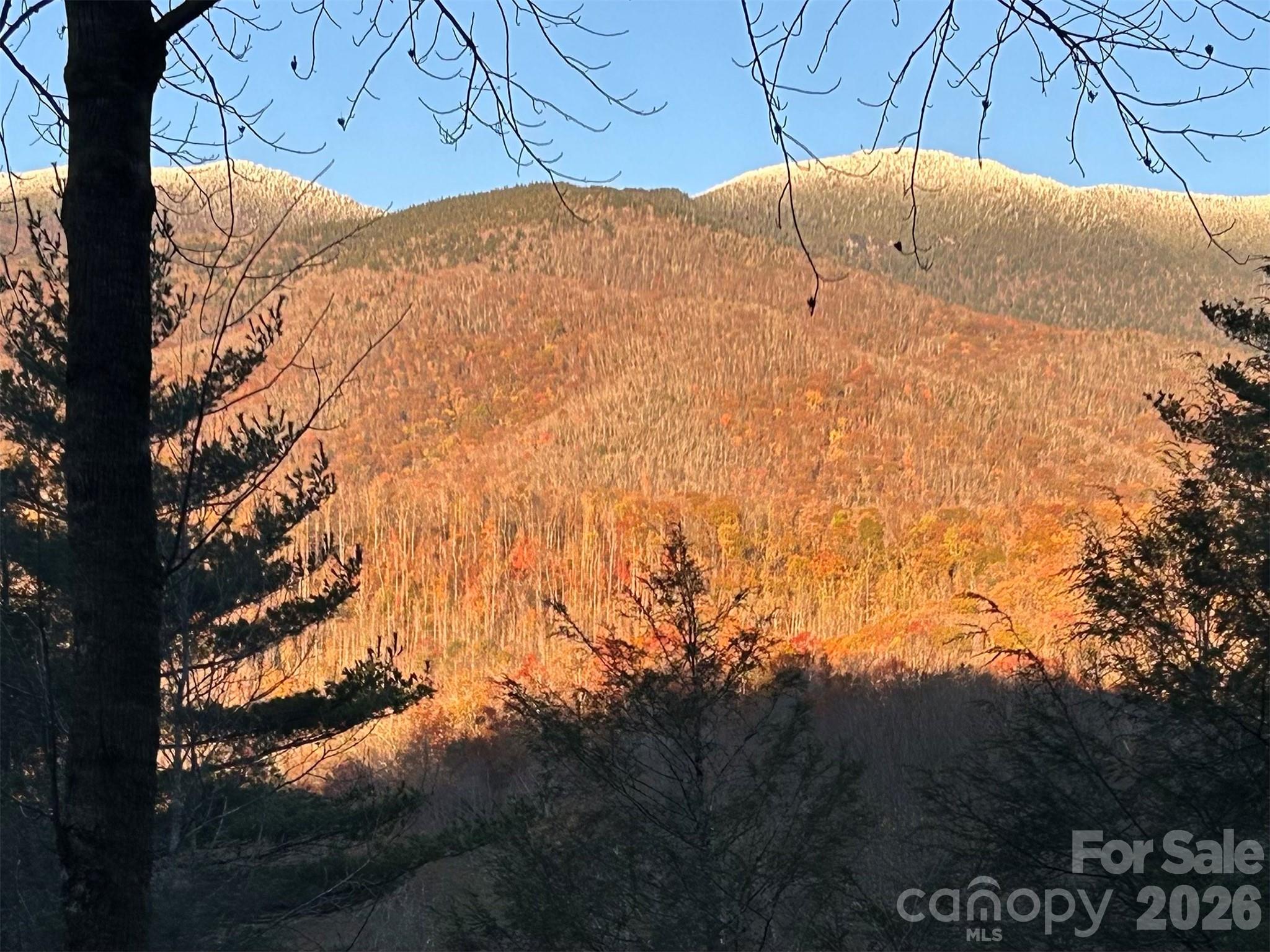 448 Mt. Mitchell Drive — Burnsville