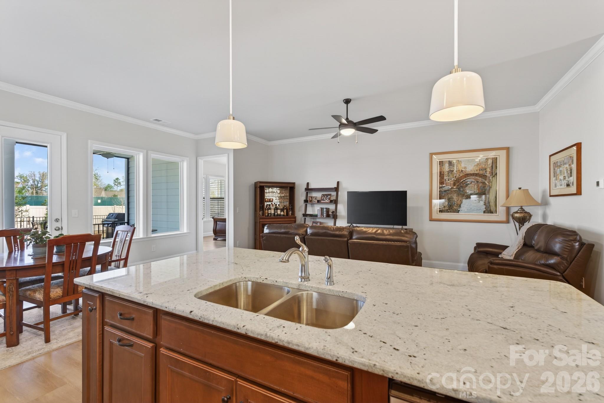 1030 Idyllic Lane — Waxhaw