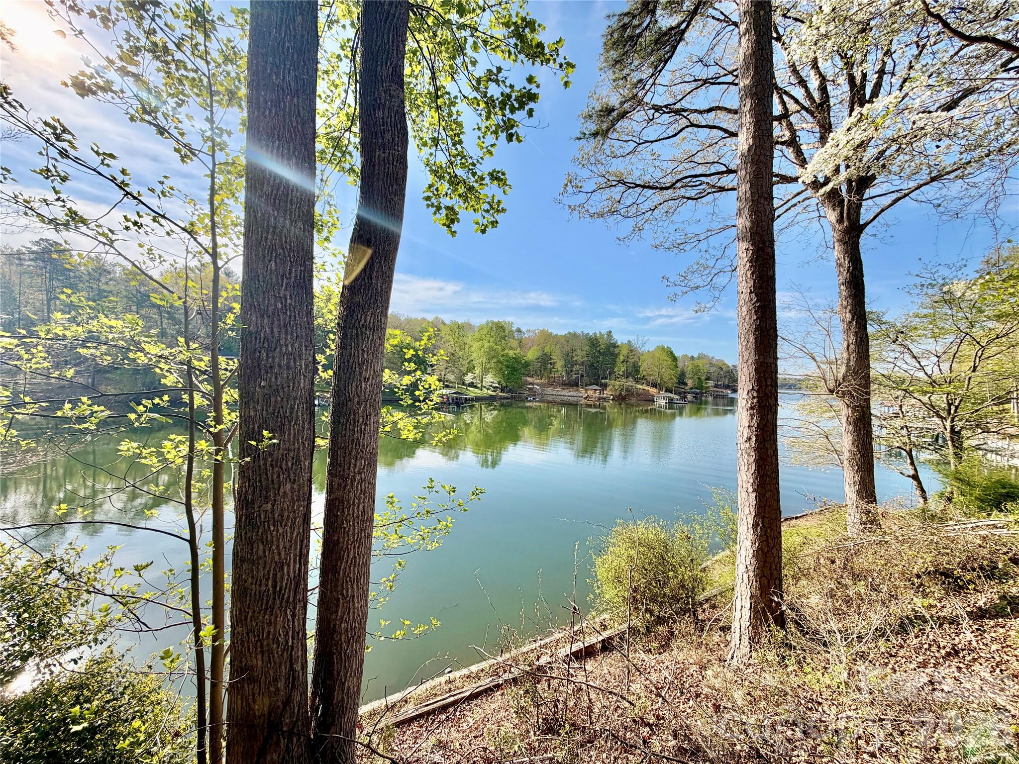340 Crappie Hollow Lane — Taylorsville