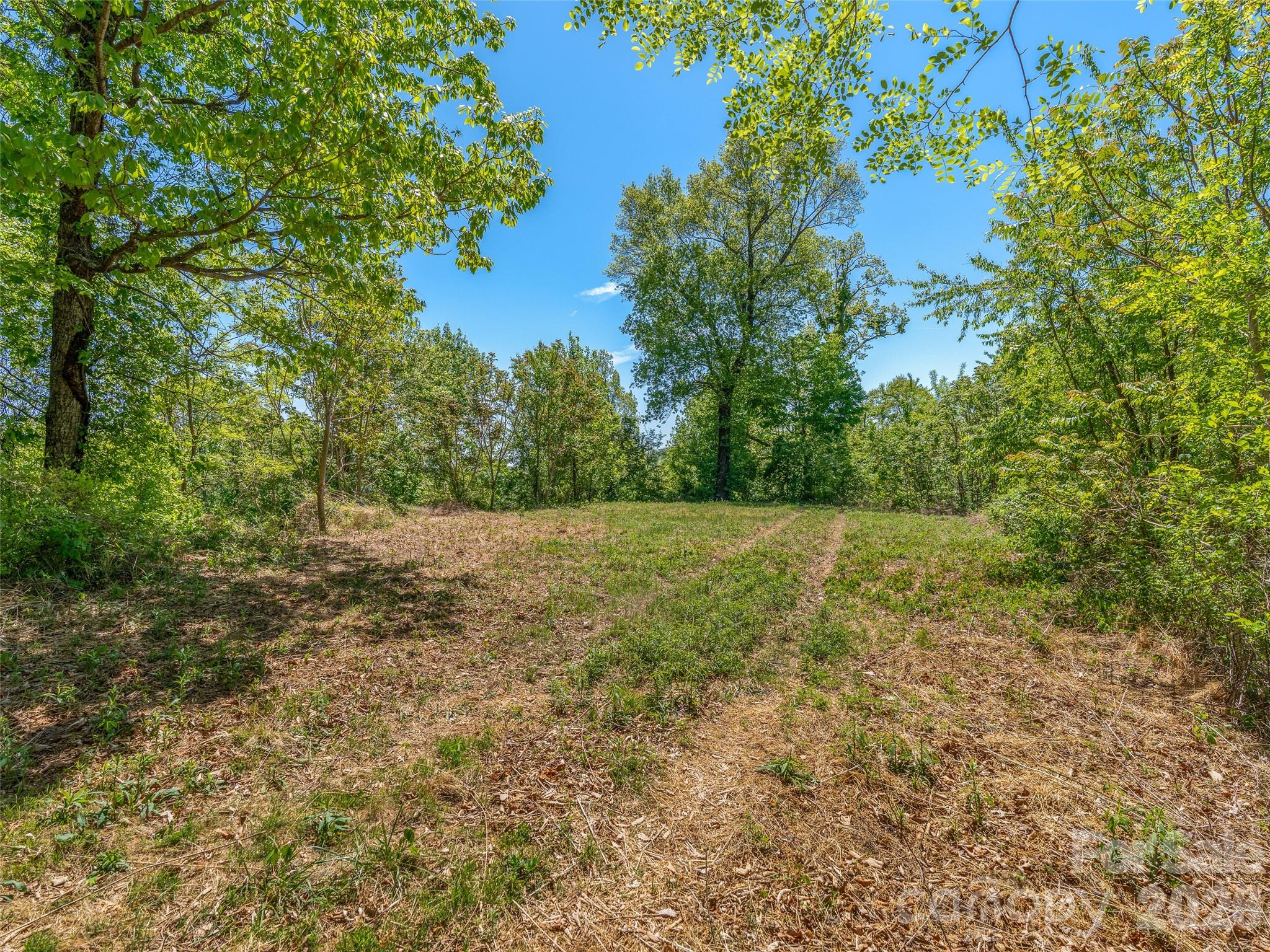 488 Warbler Lane — Black Mountain