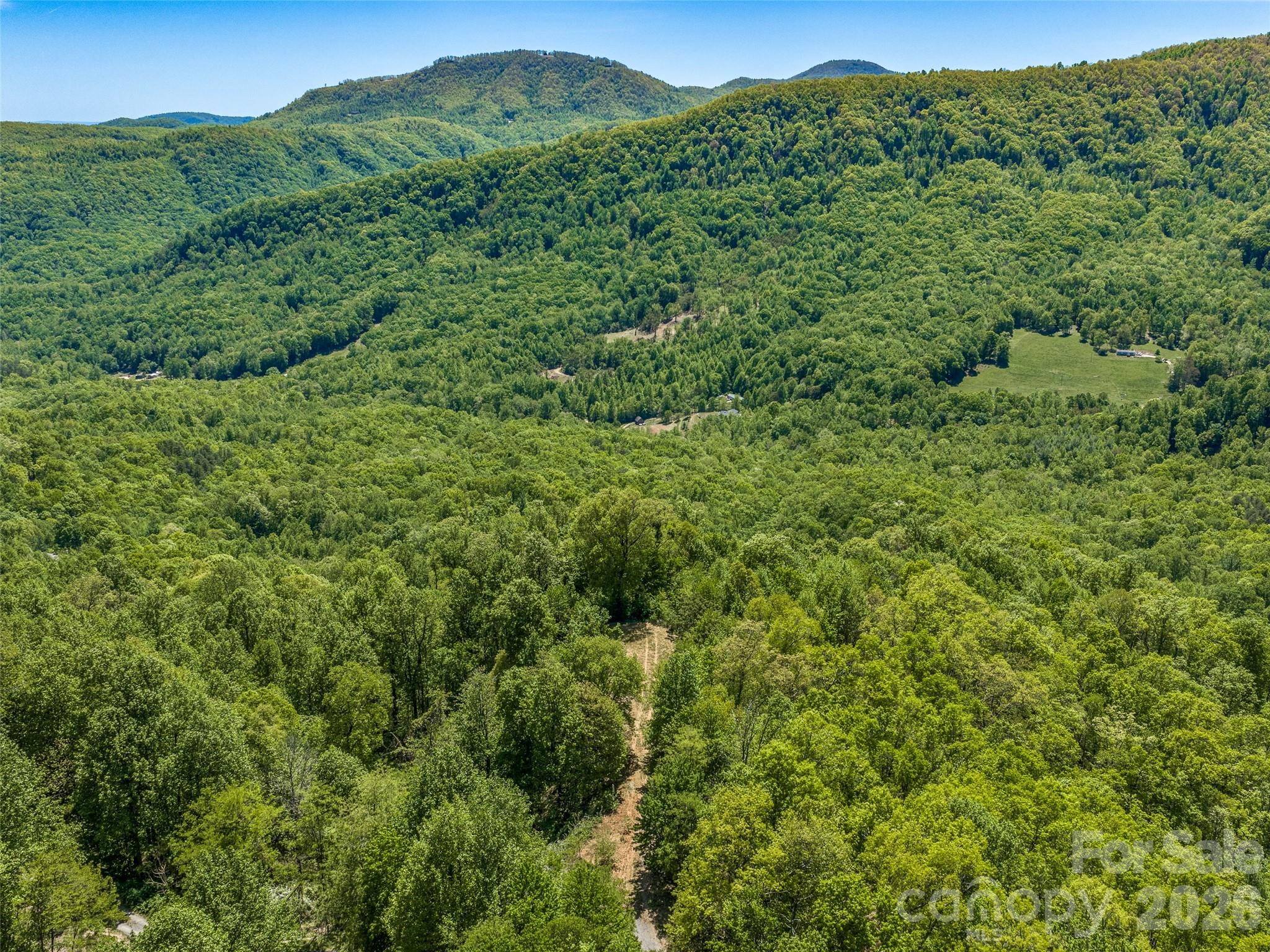 488 Warbler Lane — Black Mountain