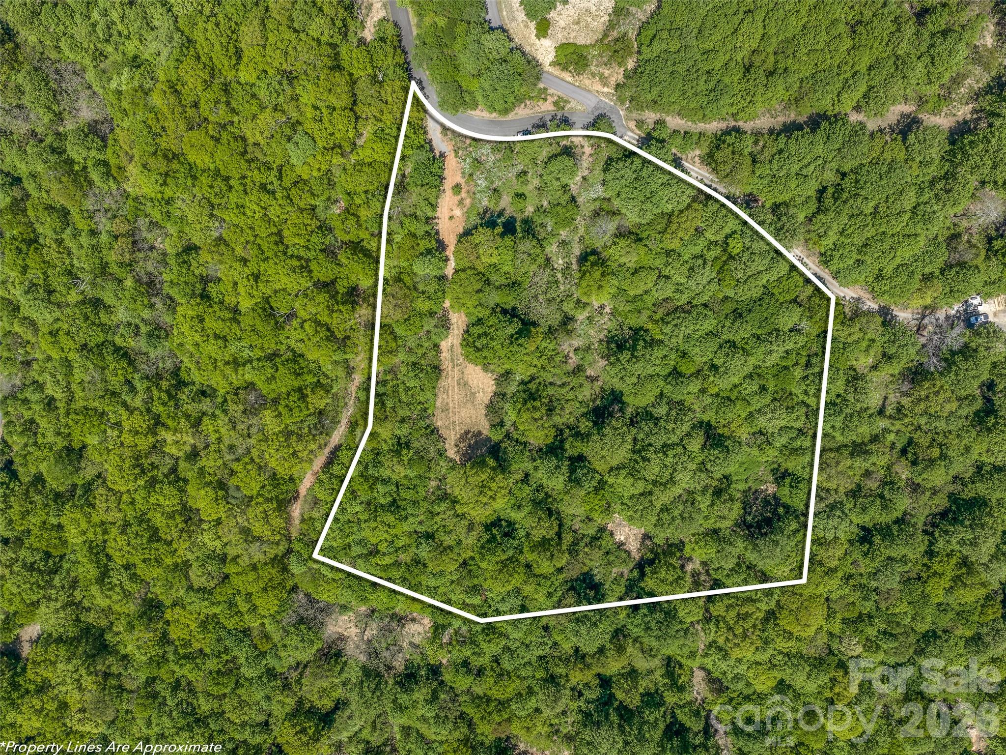 488 Warbler Lane — Black Mountain