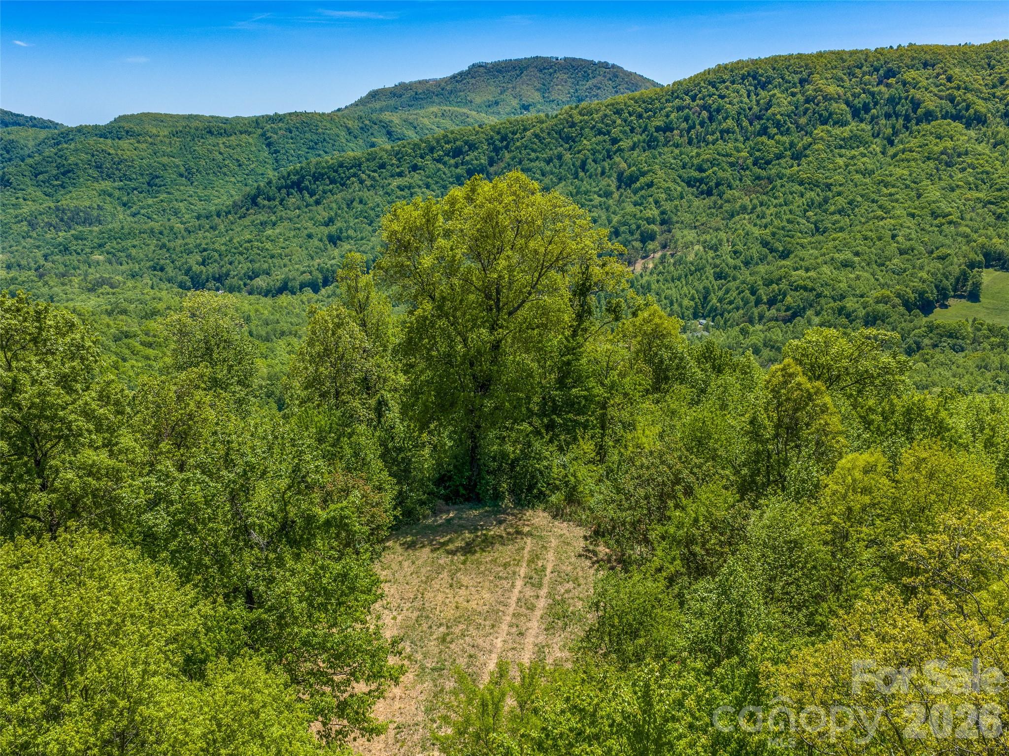 488 Warbler Lane — Black Mountain