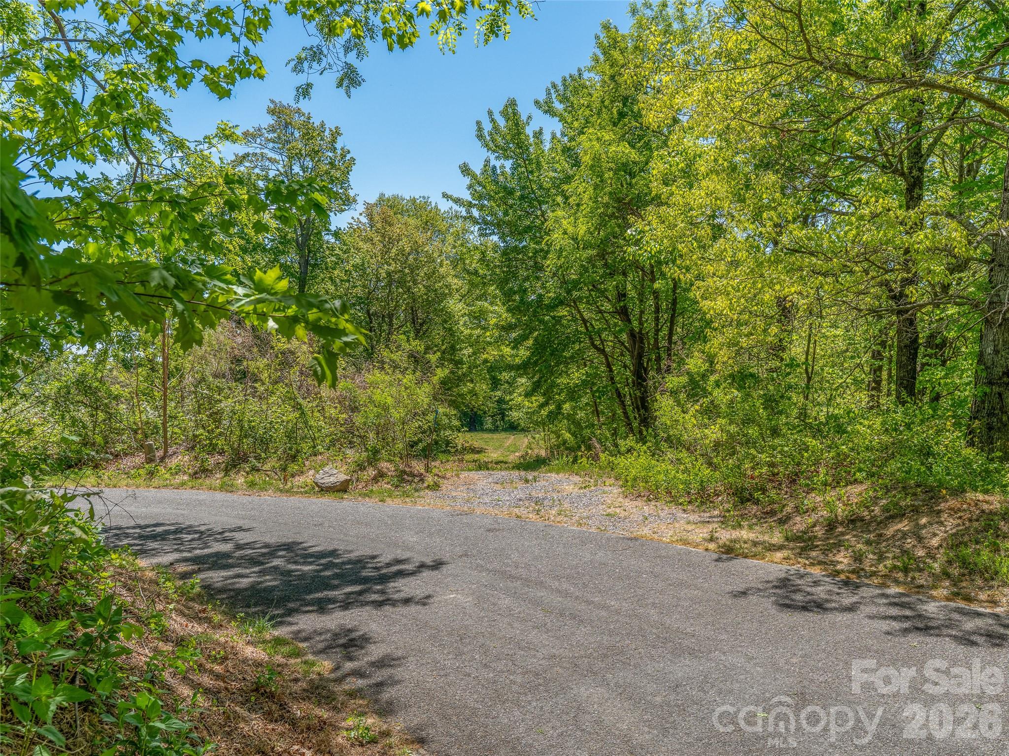 488 Warbler Lane — Black Mountain