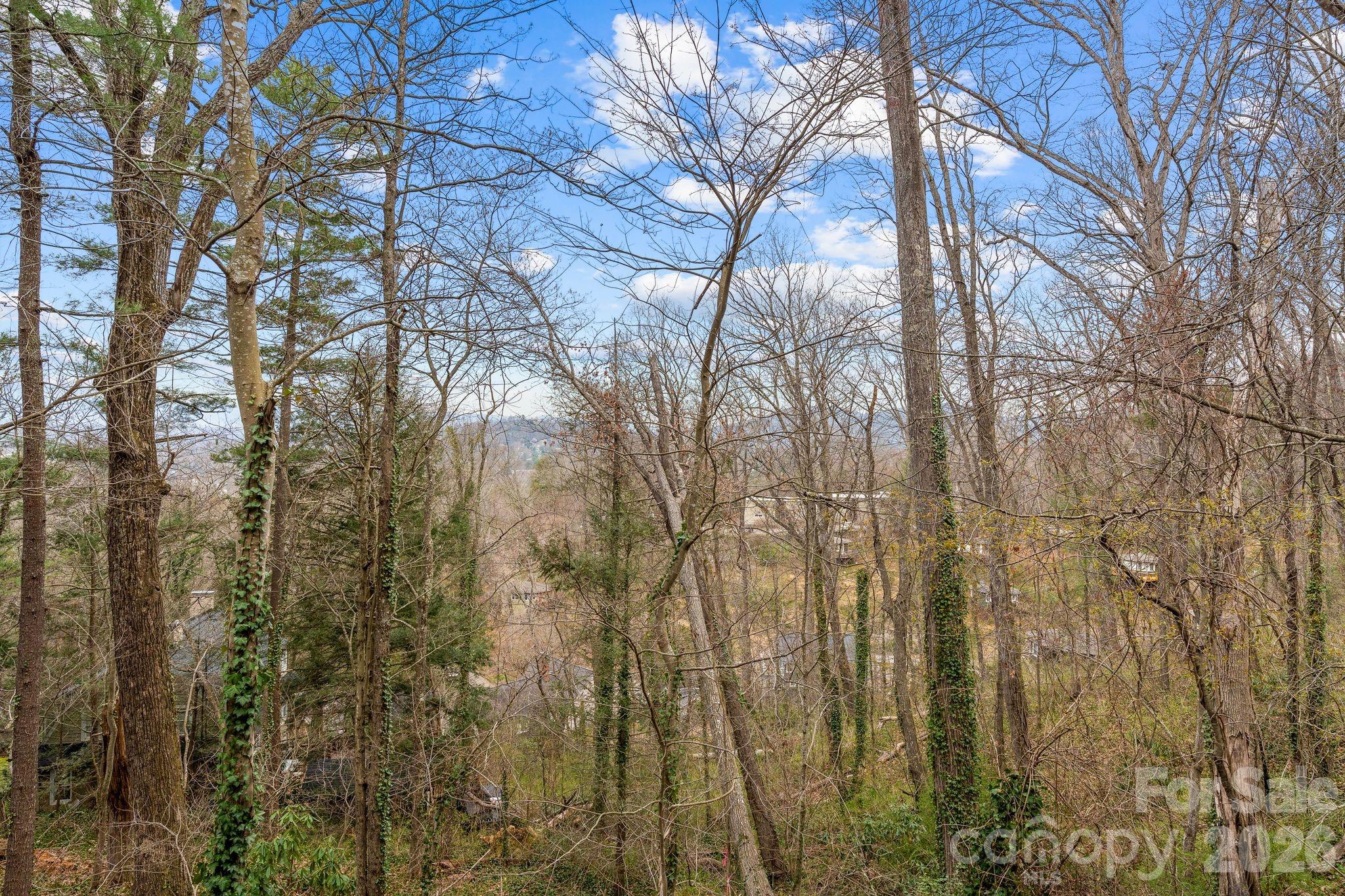 355 Sunset Drive — Asheville