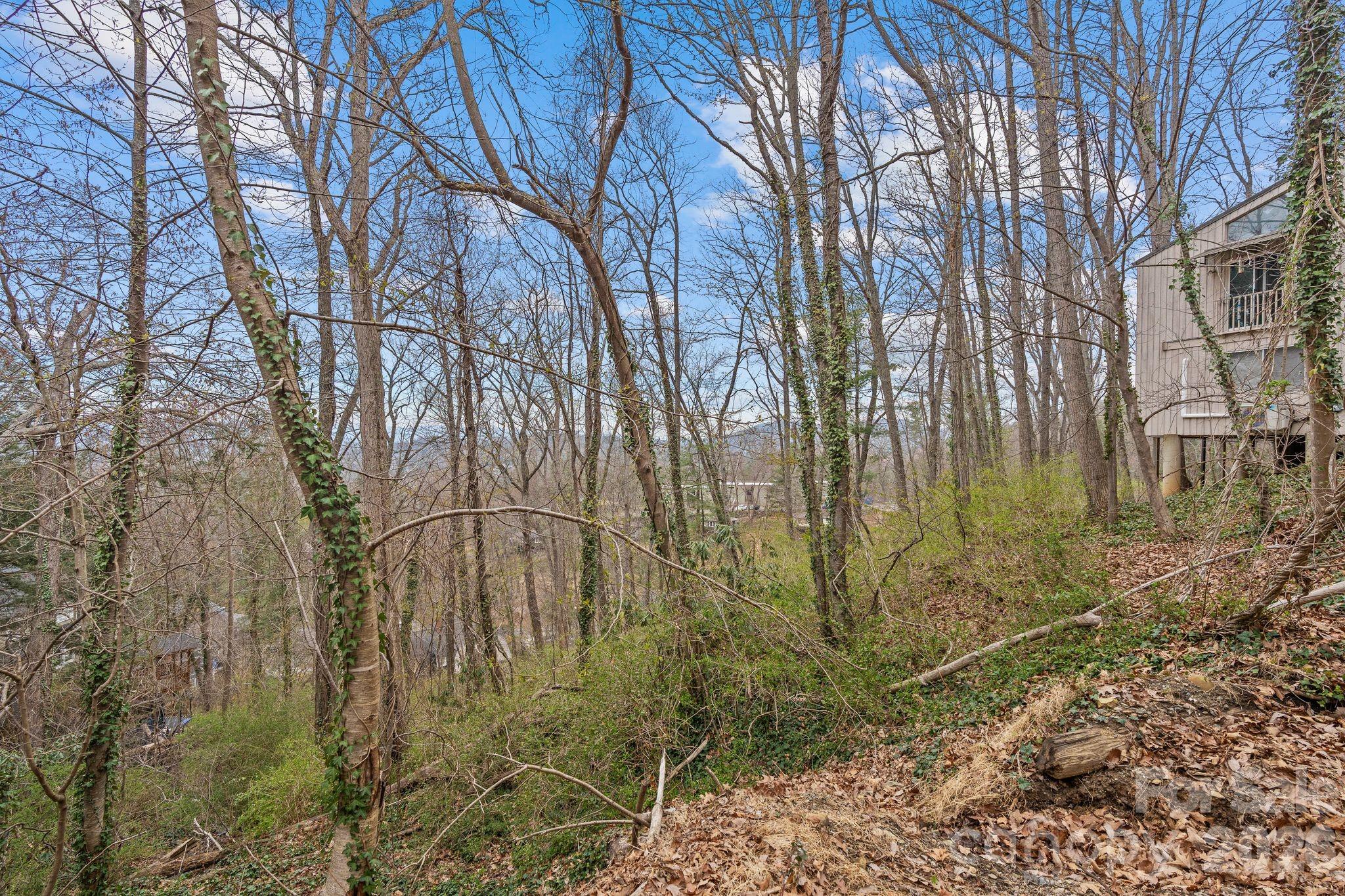355 Sunset Drive — Asheville