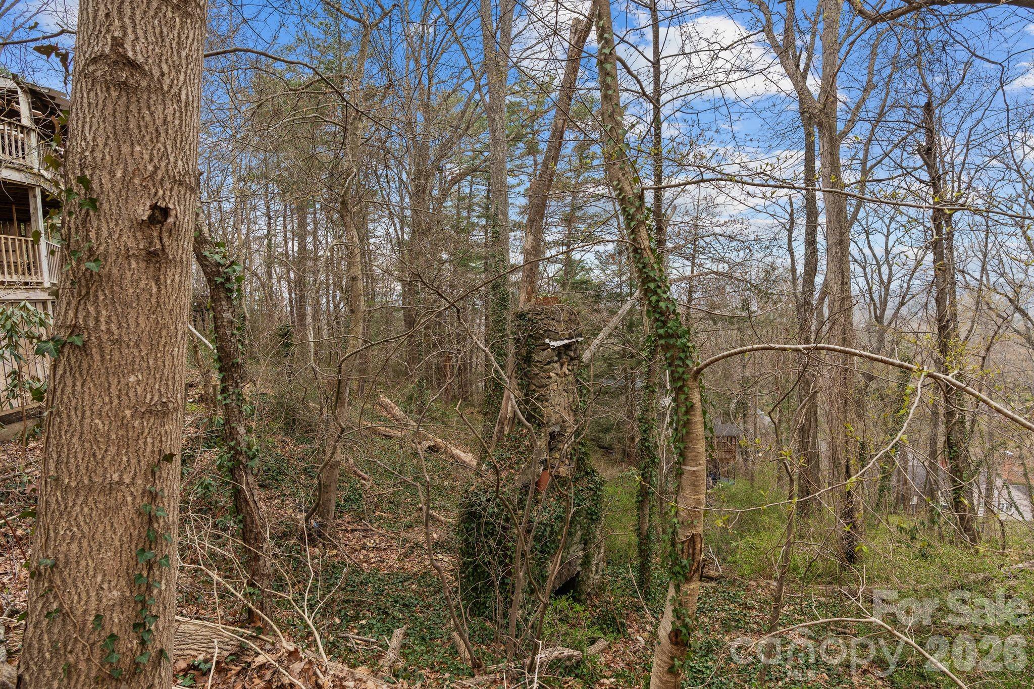 355 Sunset Drive — Asheville