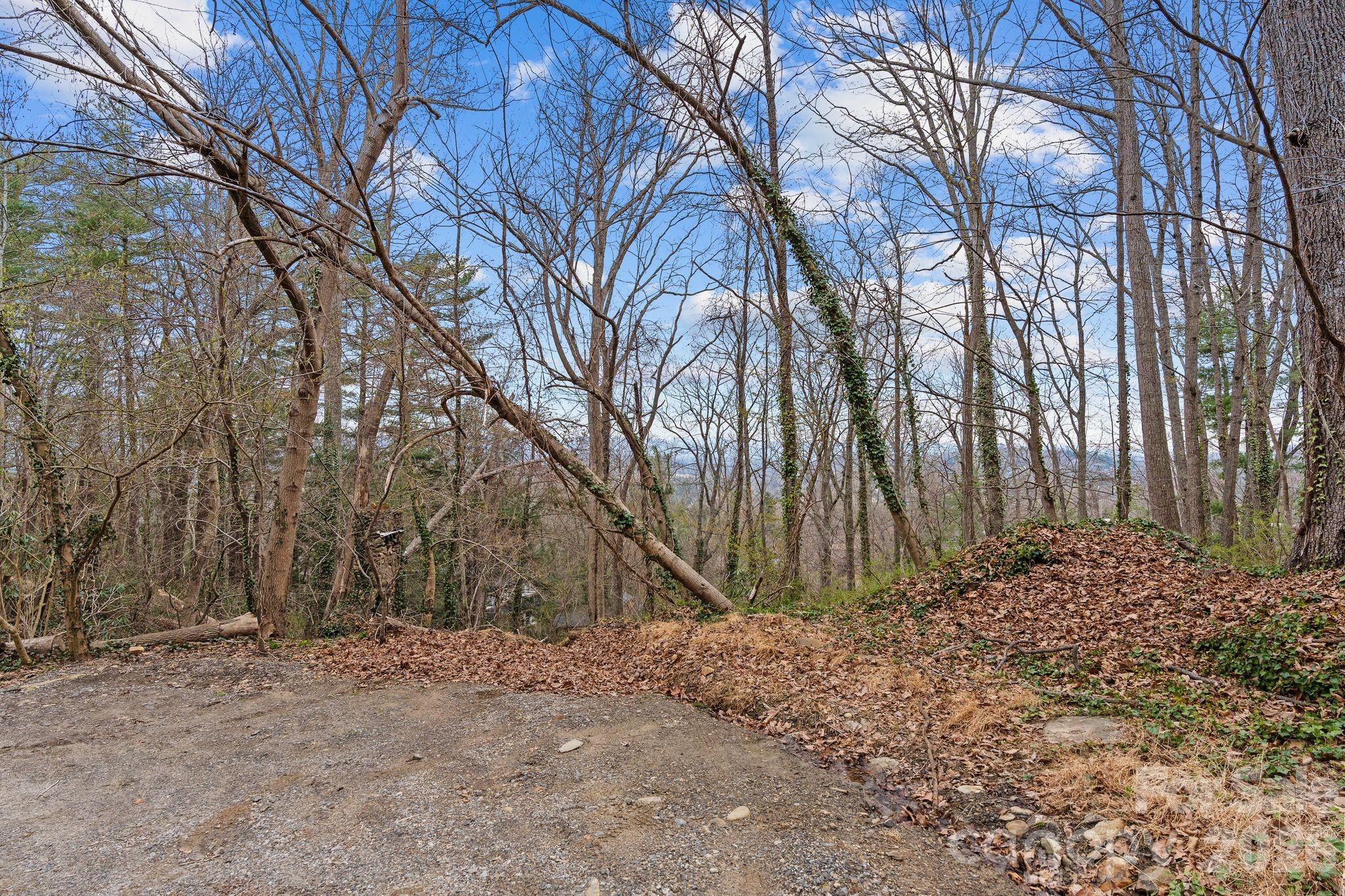 355 Sunset Drive — Asheville