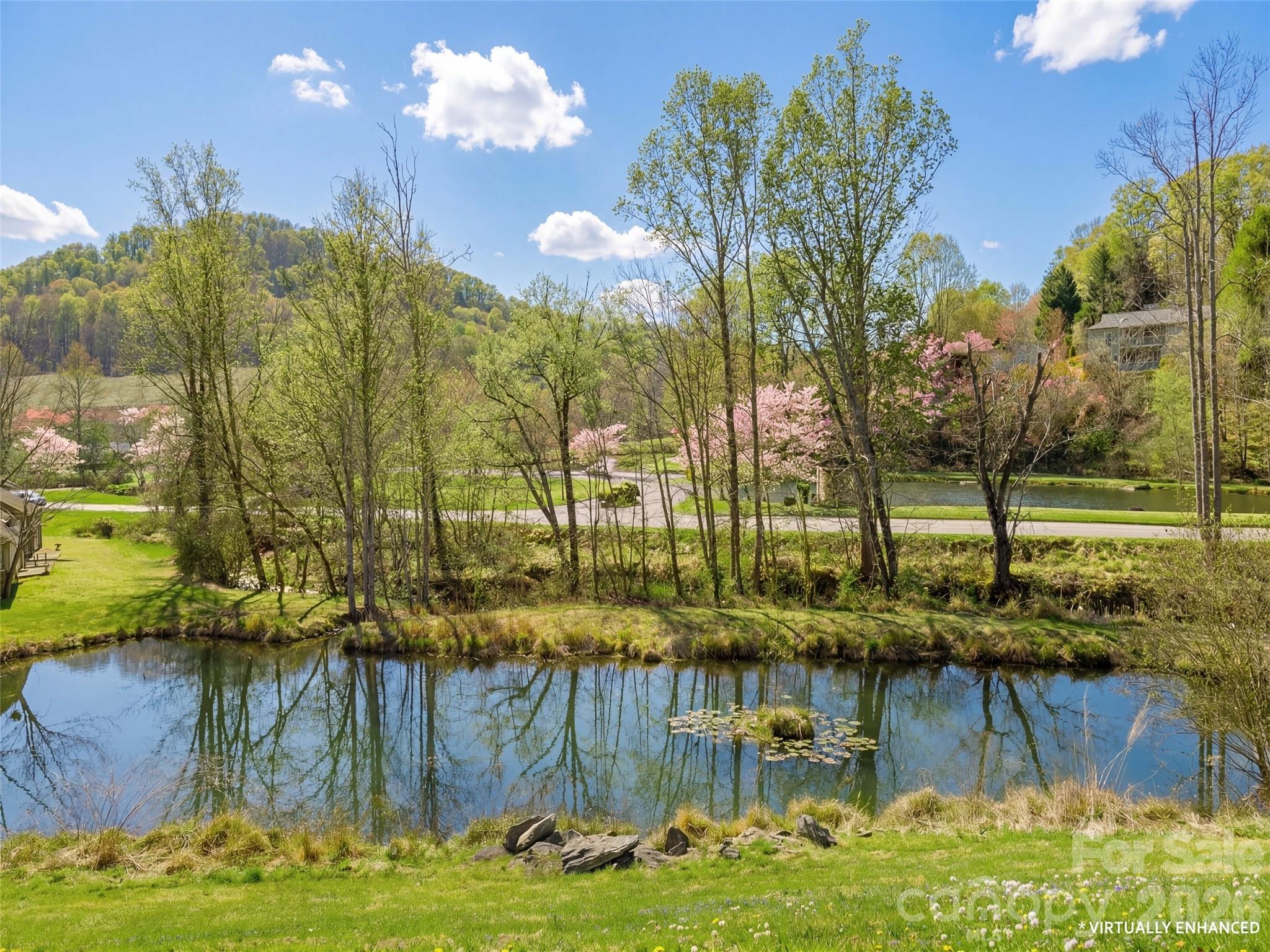 203 Rocky Mountain Way — Arden