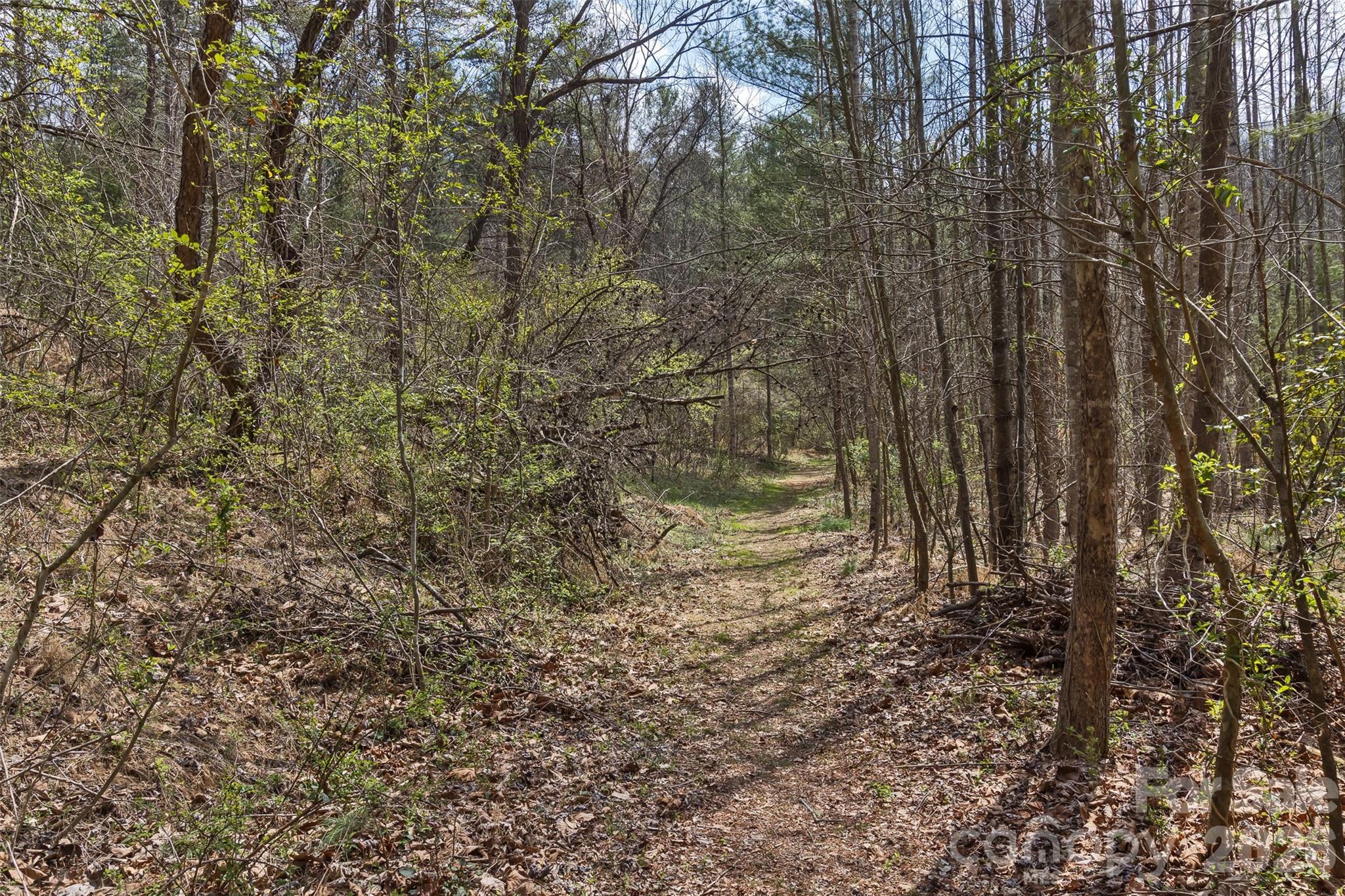 37 Creekside View Drive — Asheville