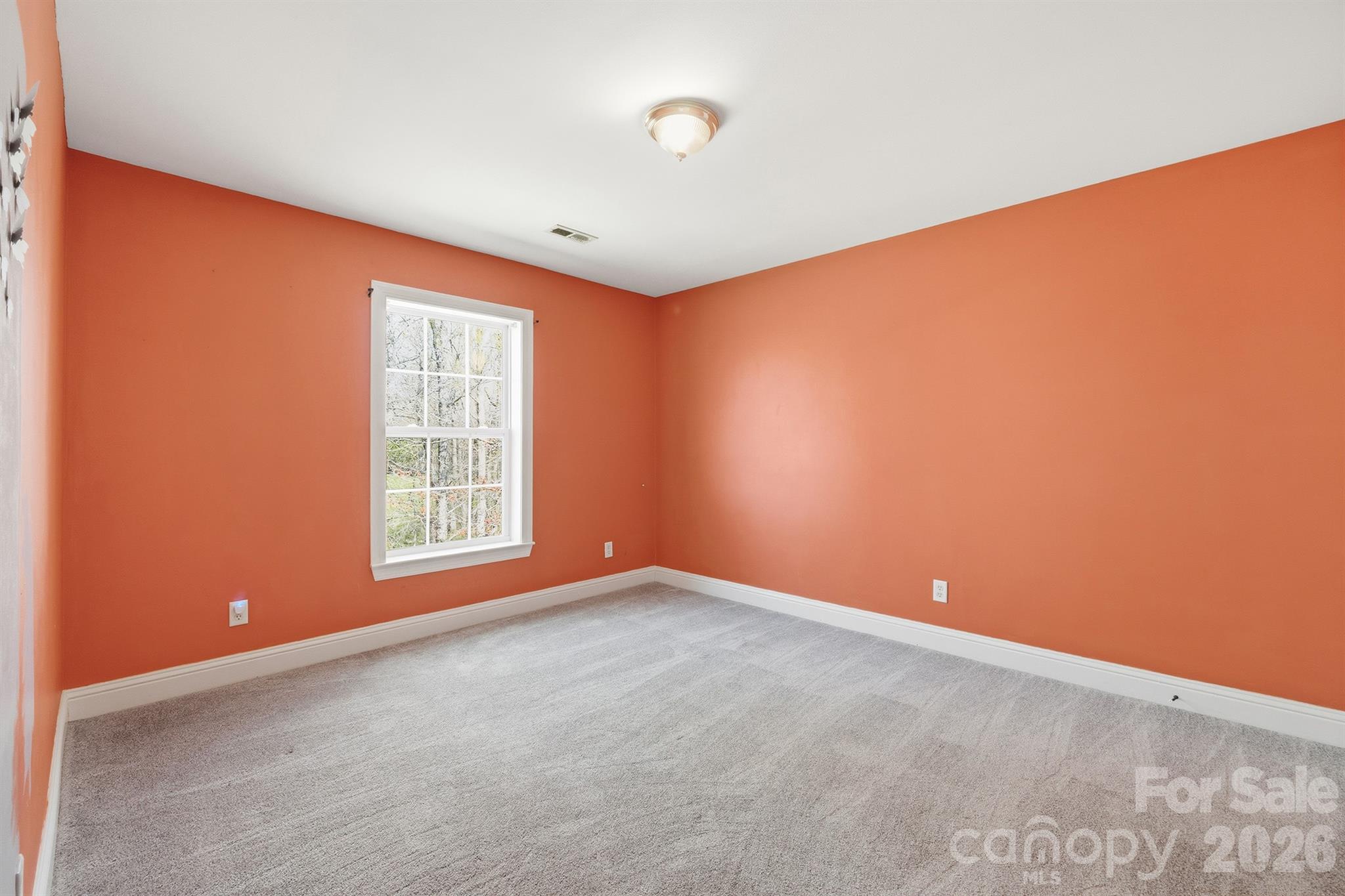 193 Red Hawk Lane — Olin