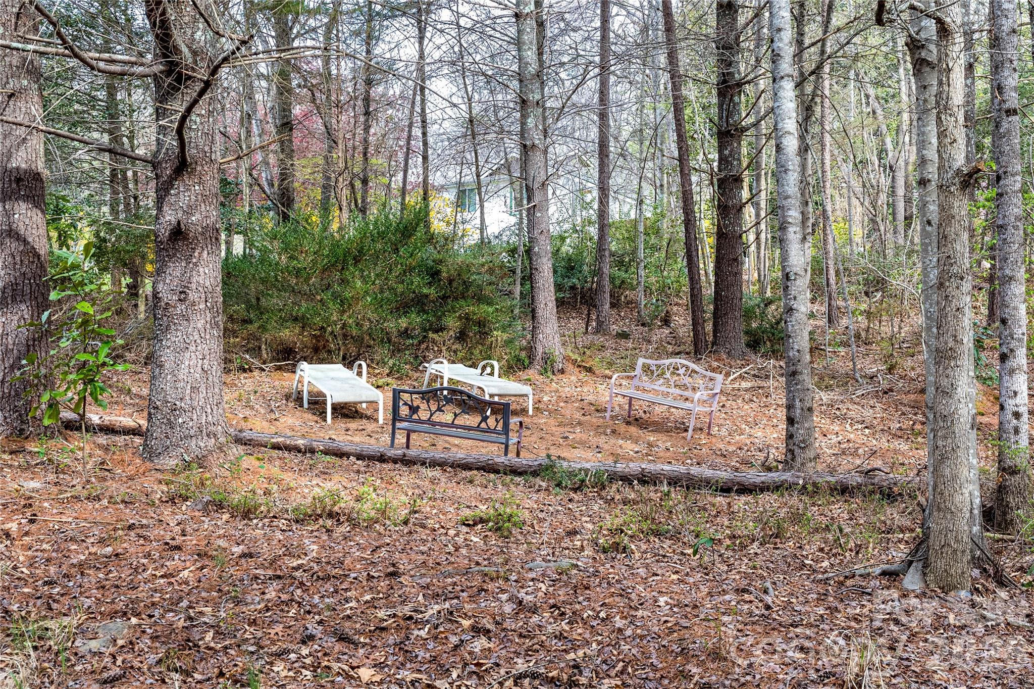 4100 S Fork Street — Hickory