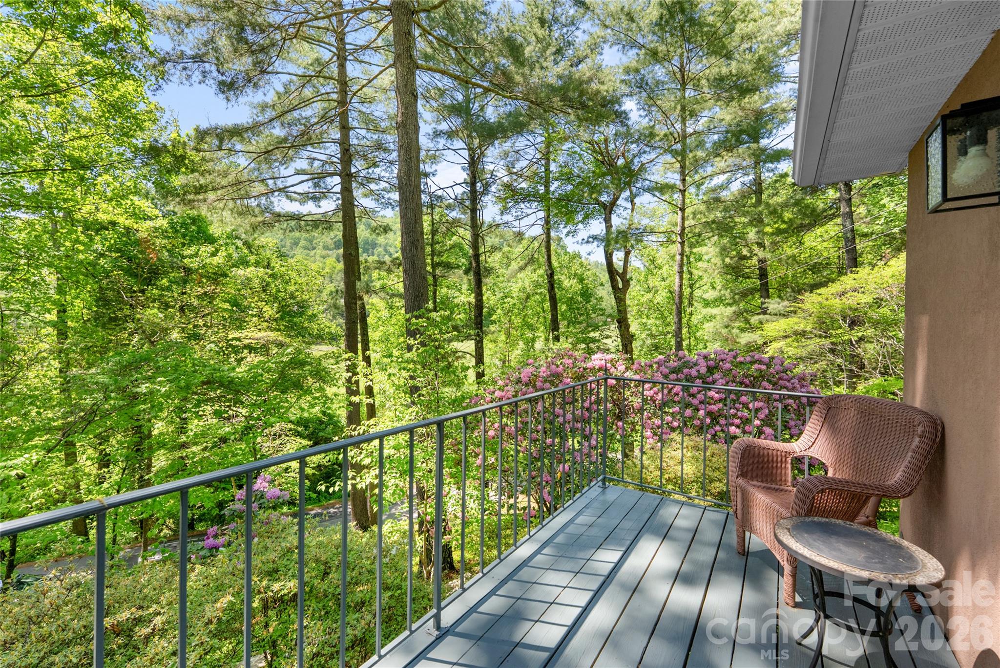200 Robinhood Road — Asheville