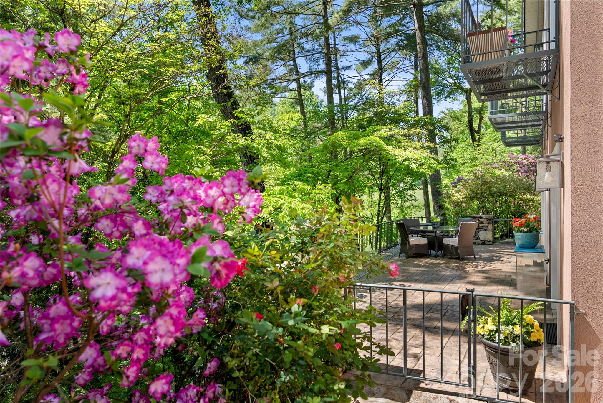 200 Robinhood Road — Asheville