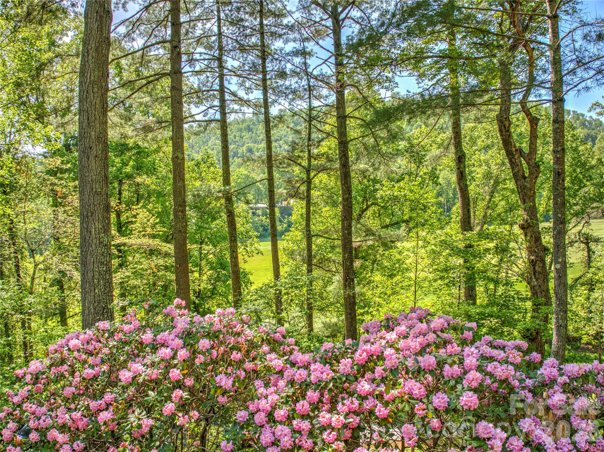 200 Robinhood Road — Asheville